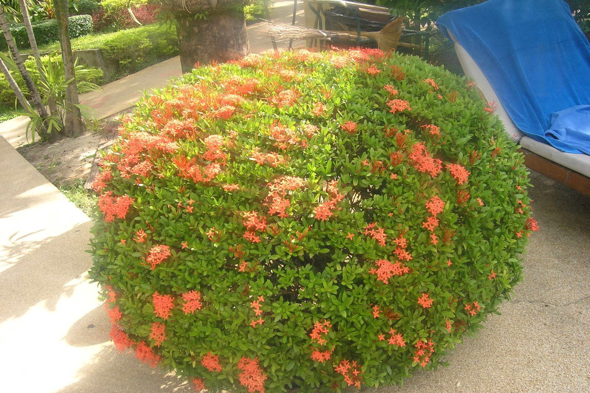 Тайланд 2011 г. Улица, люди, жизнь…