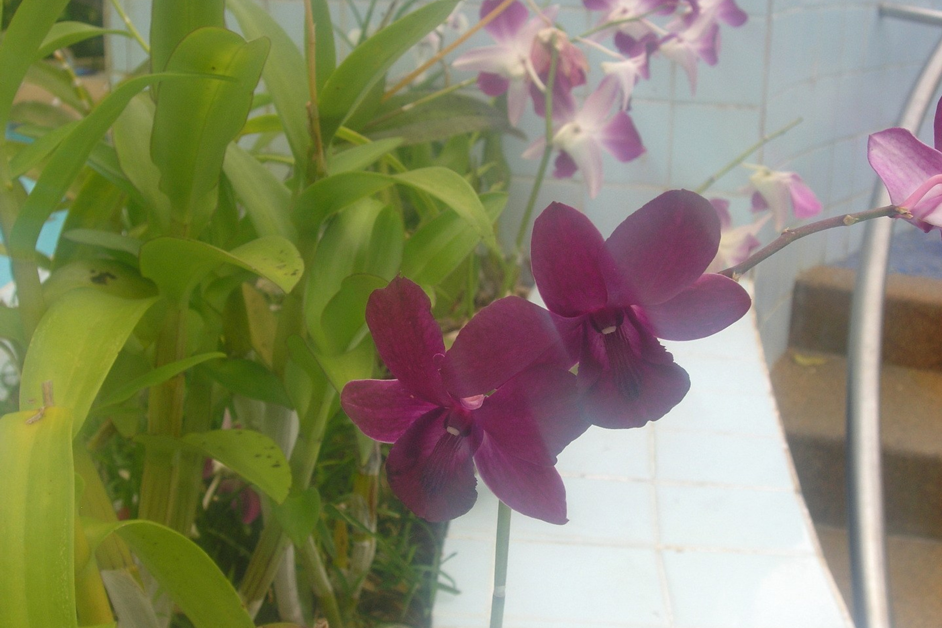 Тайланд 2011 г. Улица, люди, жизнь…