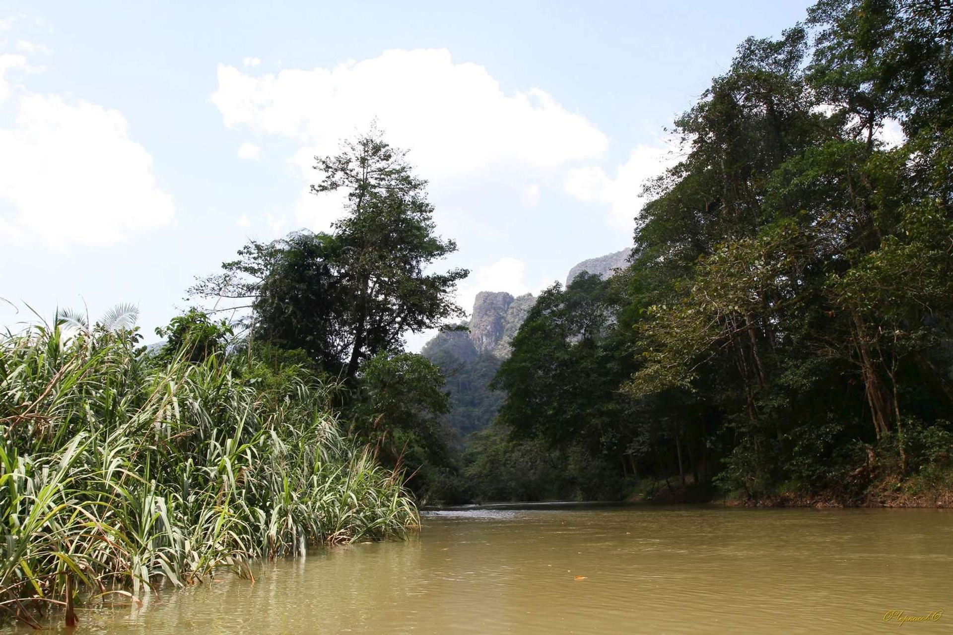 Тайланд 2011 г. Улица, люди, жизнь…