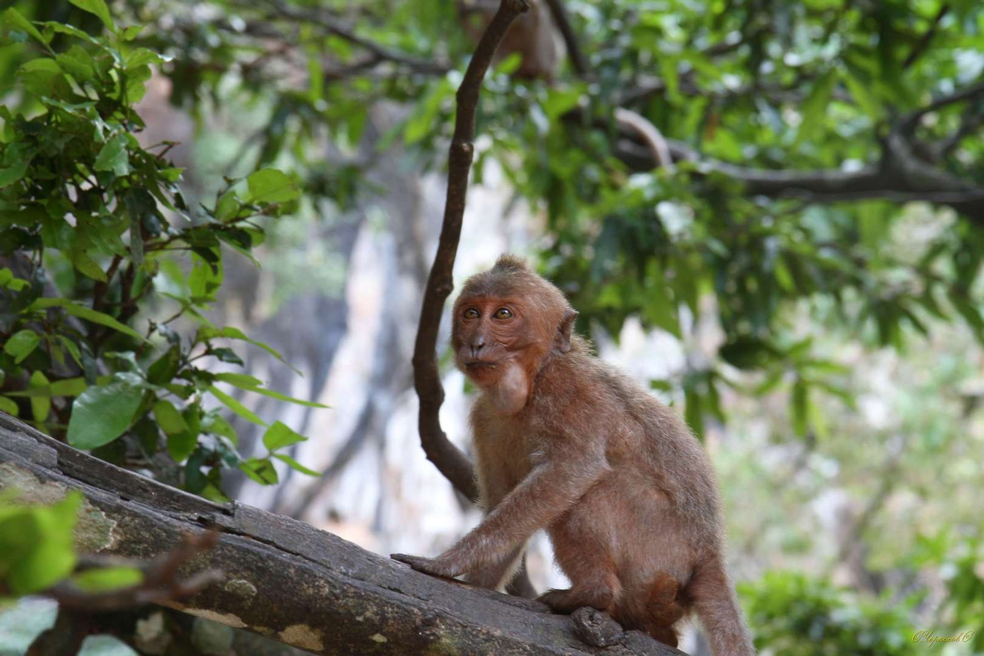 Тайланд 2011 г. Улица, люди, жизнь…