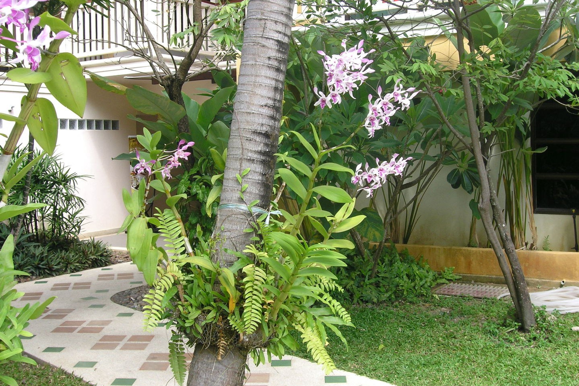 Тайланд 2011 г. Улица, люди, жизнь…