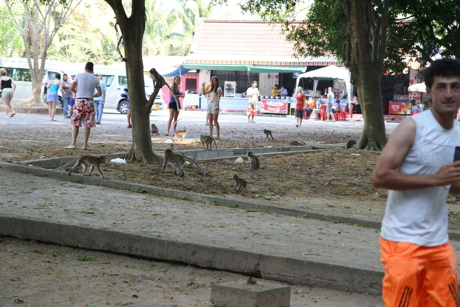 Тайланд 2011 г. Улица, люди, жизнь…