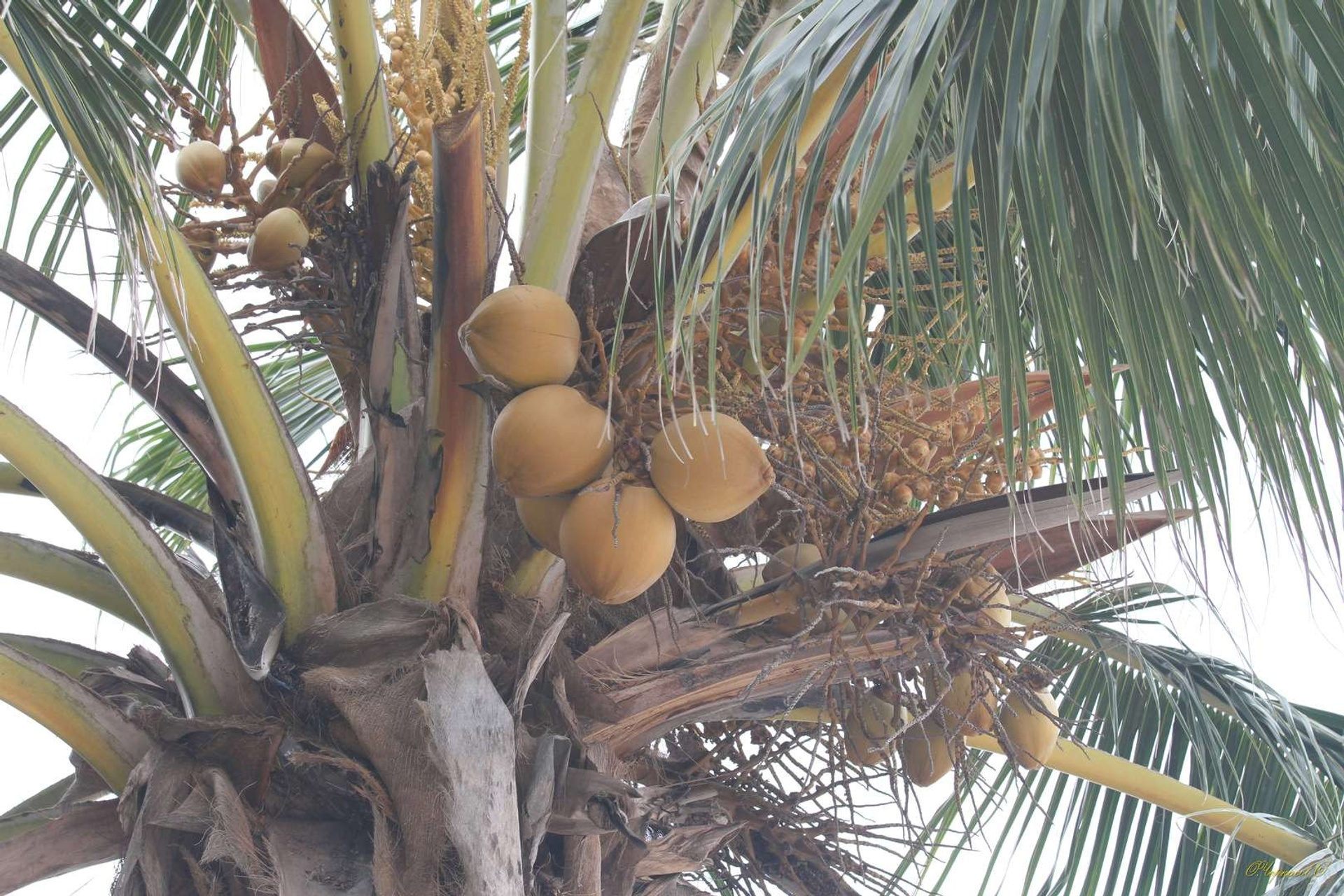 Тайланд 2011 г. Улица, люди, жизнь…