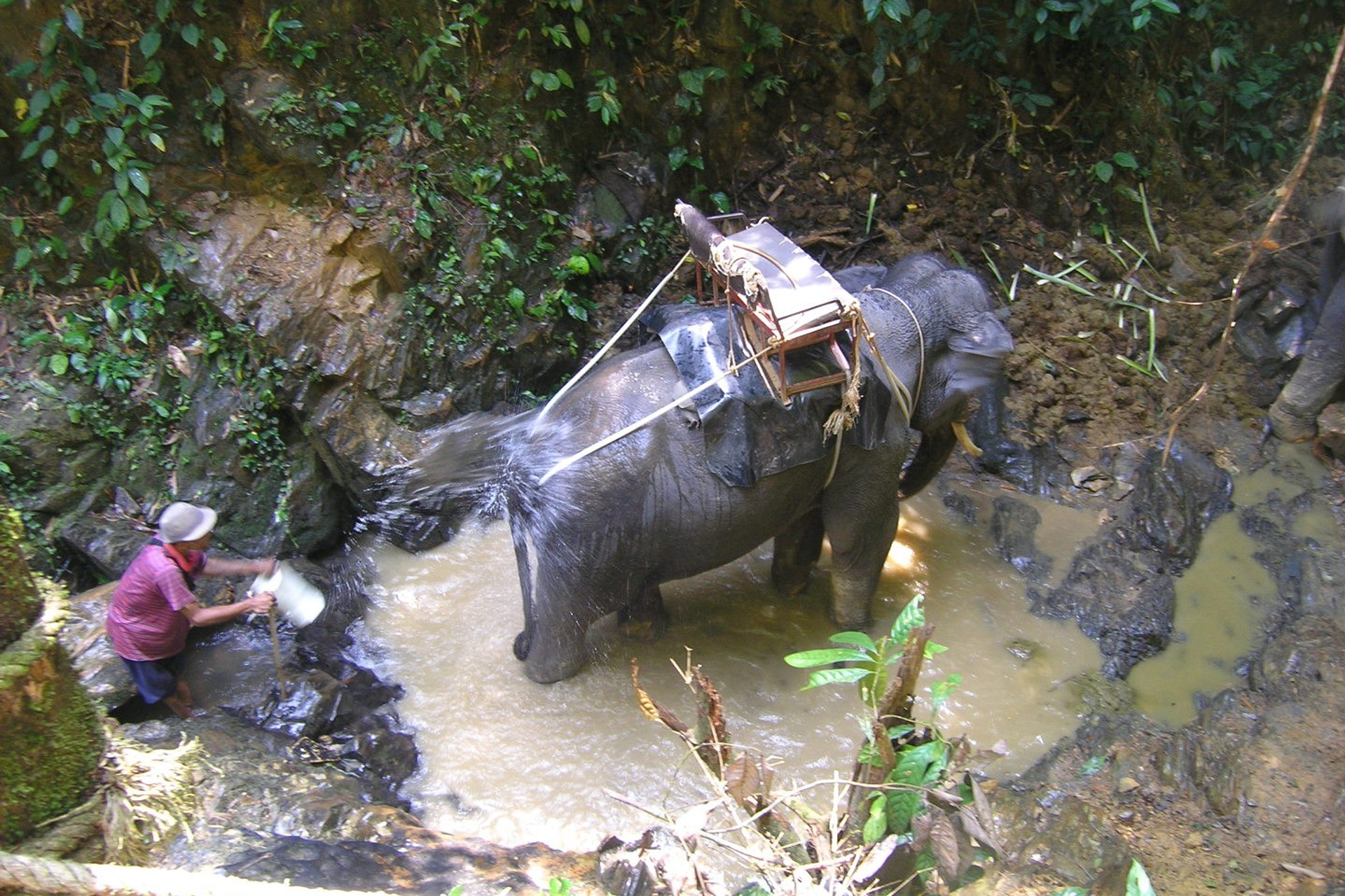 Тайланд 2011 г. Улица, люди, жизнь…