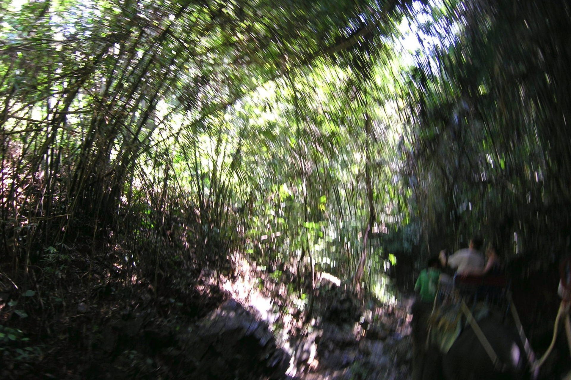 Тайланд 2011 г. Улица, люди, жизнь…