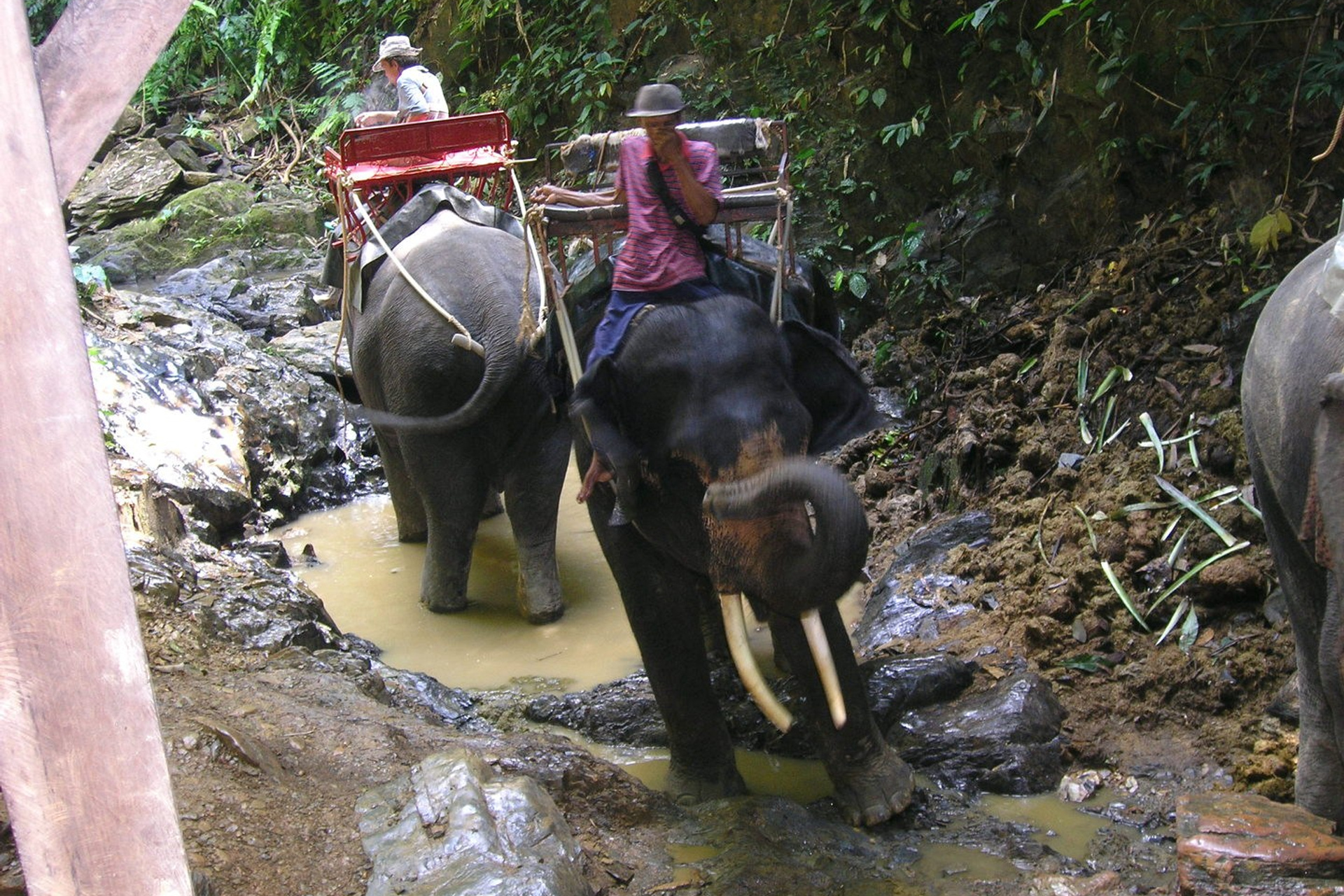 Тайланд 2011 г. Улица, люди, жизнь…