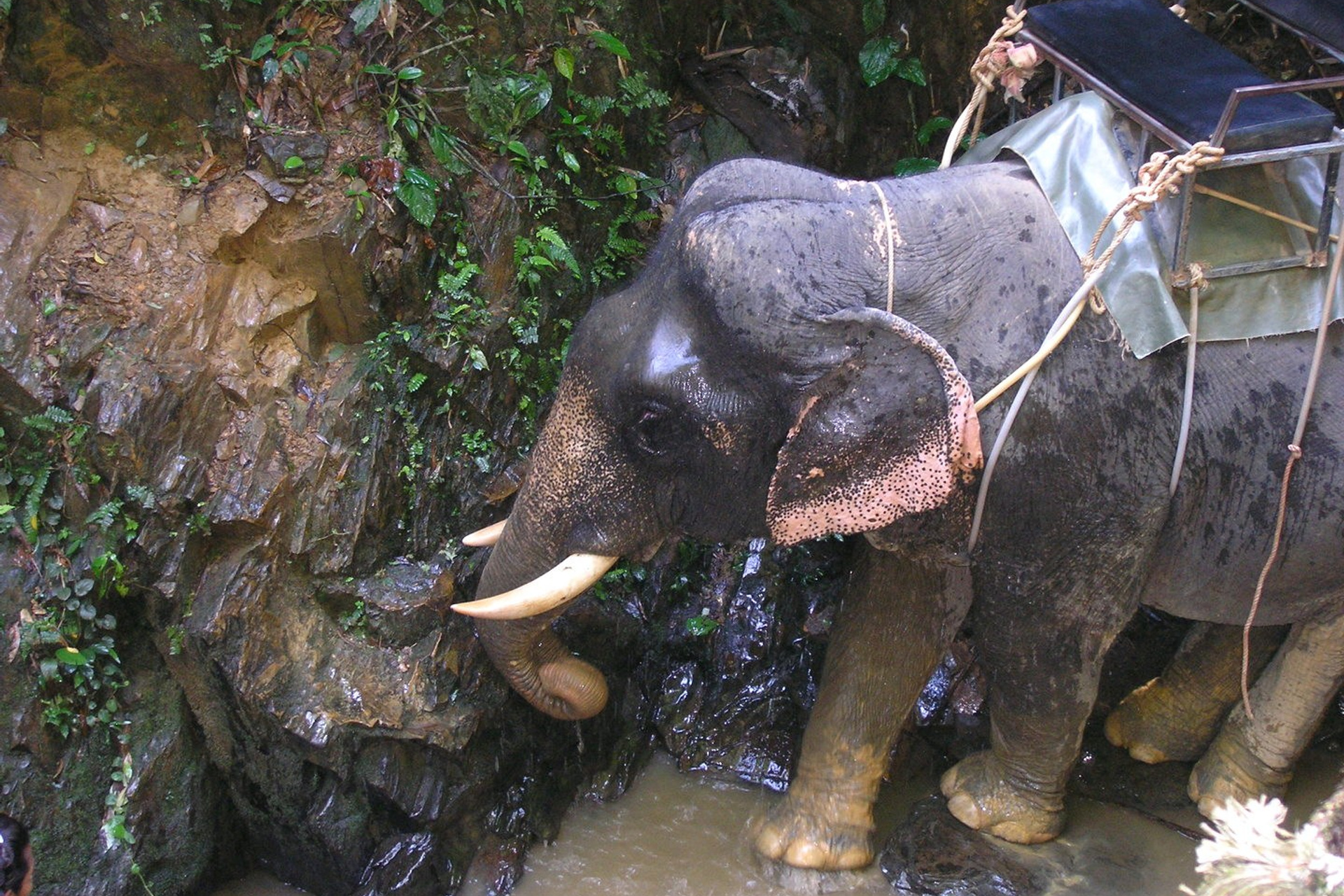 Тайланд 2011 г. Улица, люди, жизнь…