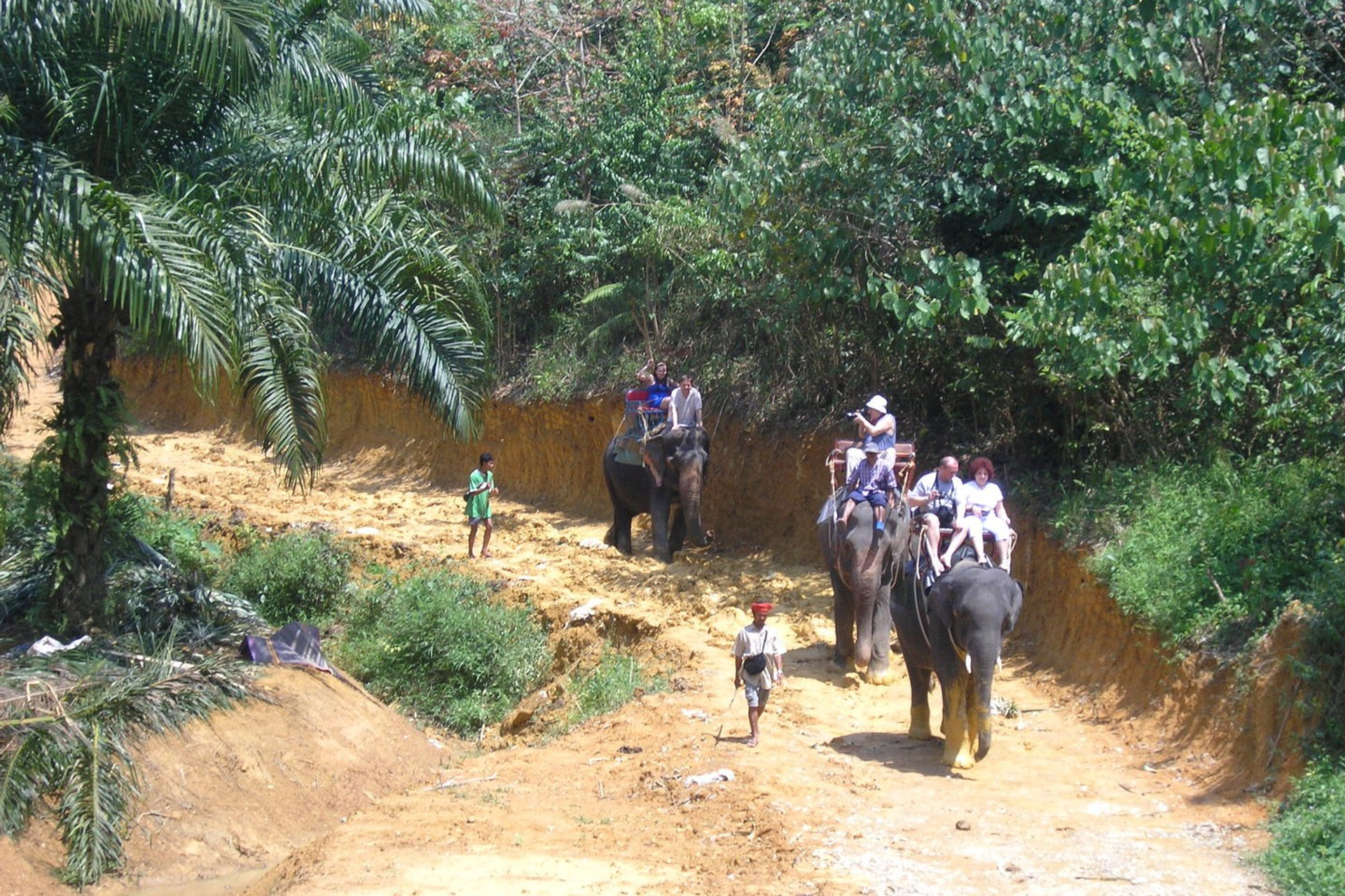 Тайланд 2011 г. Улица, люди, жизнь…