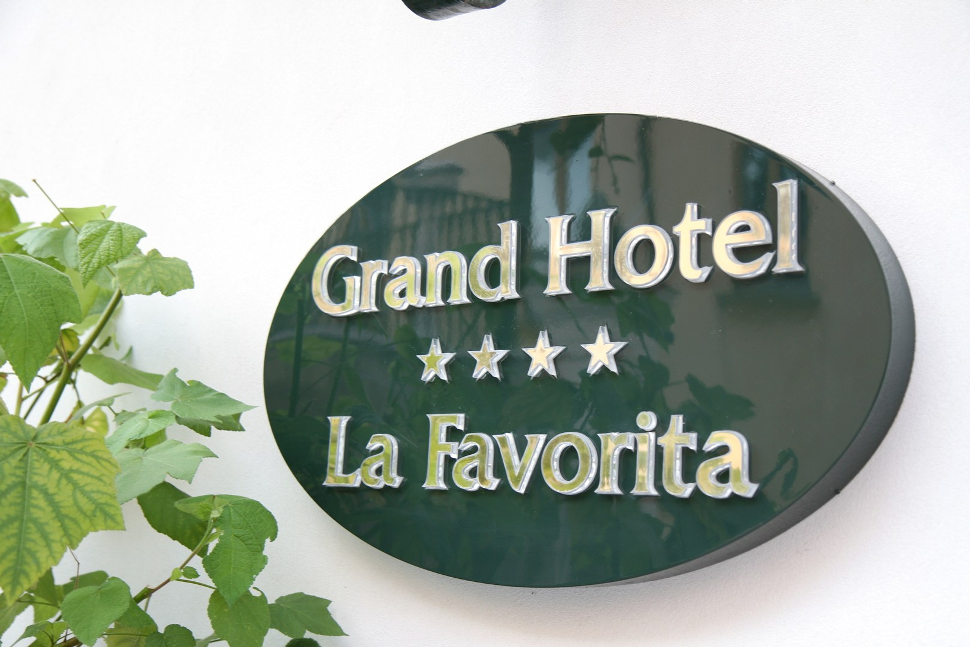 Фотоальбомы. Улица, люди, жизнь…