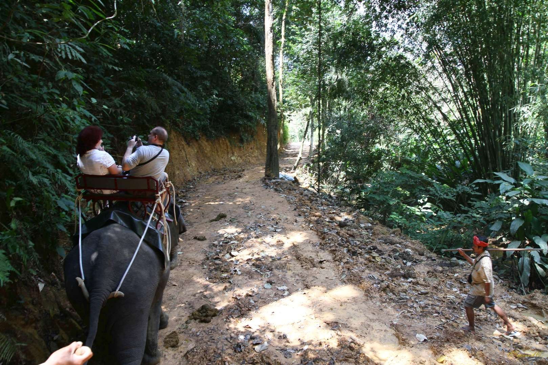 Тайланд 2011 г. Улица, люди, жизнь…