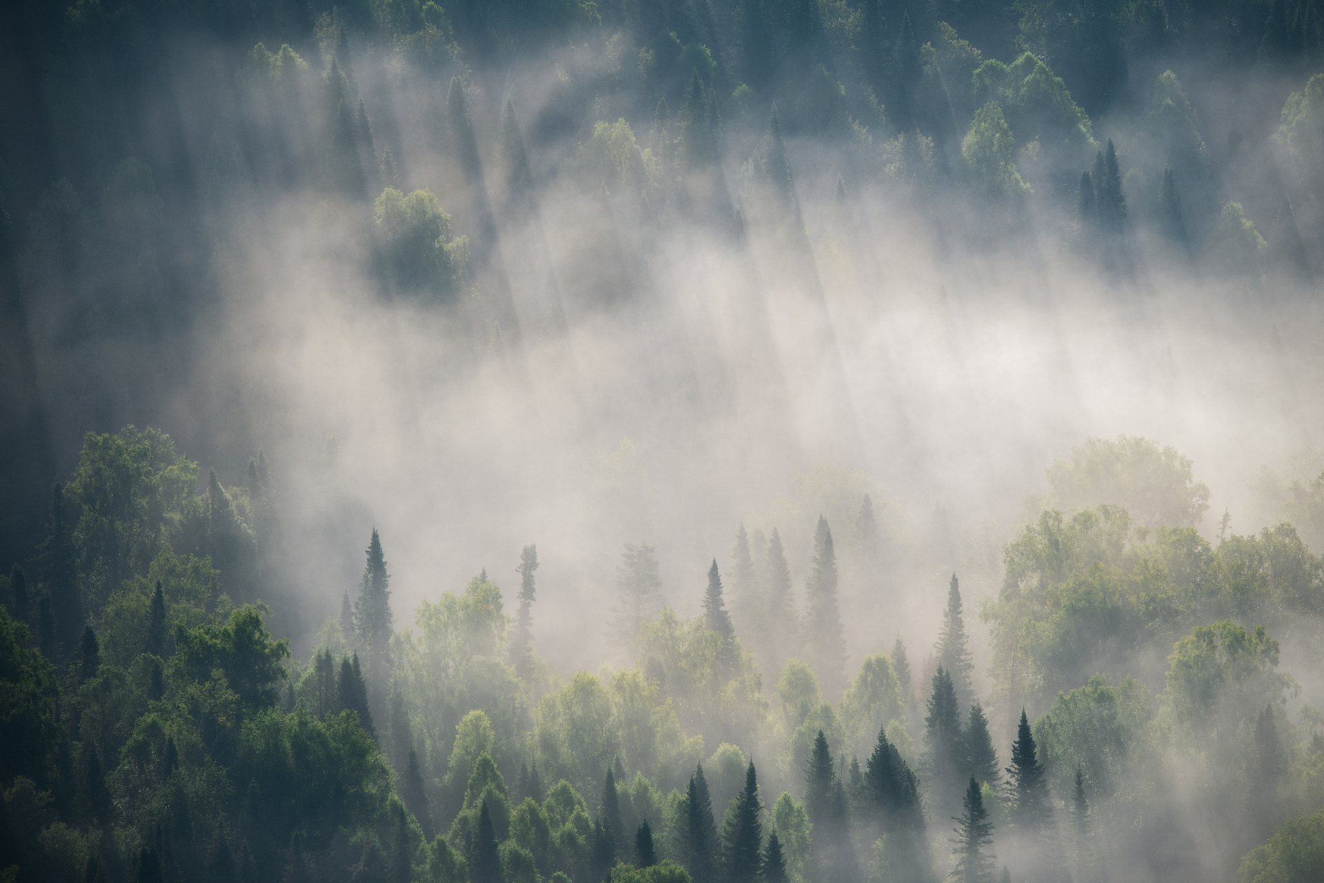 Состояния и текстуры