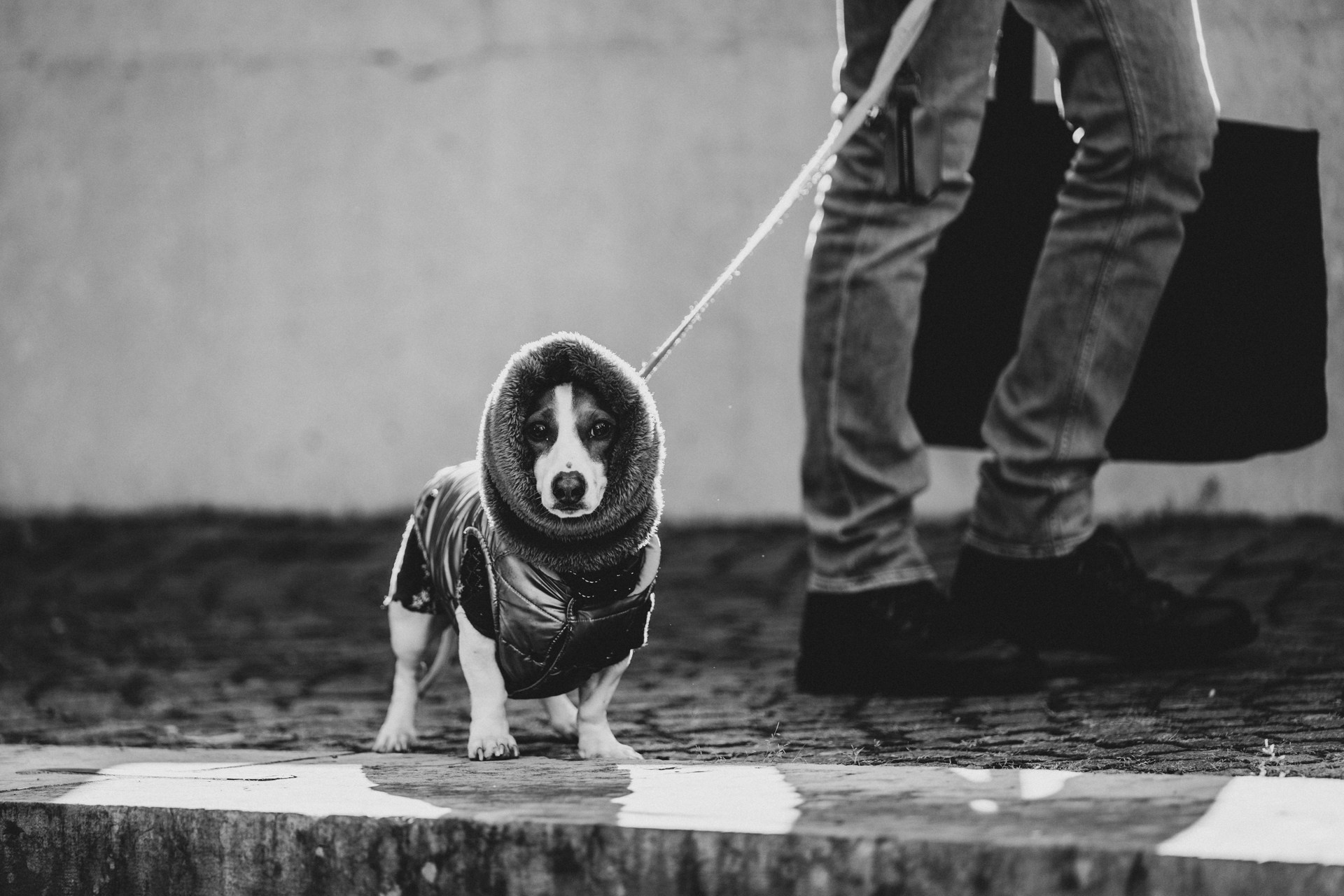 Kiss me. Авторские стильные фотокартины