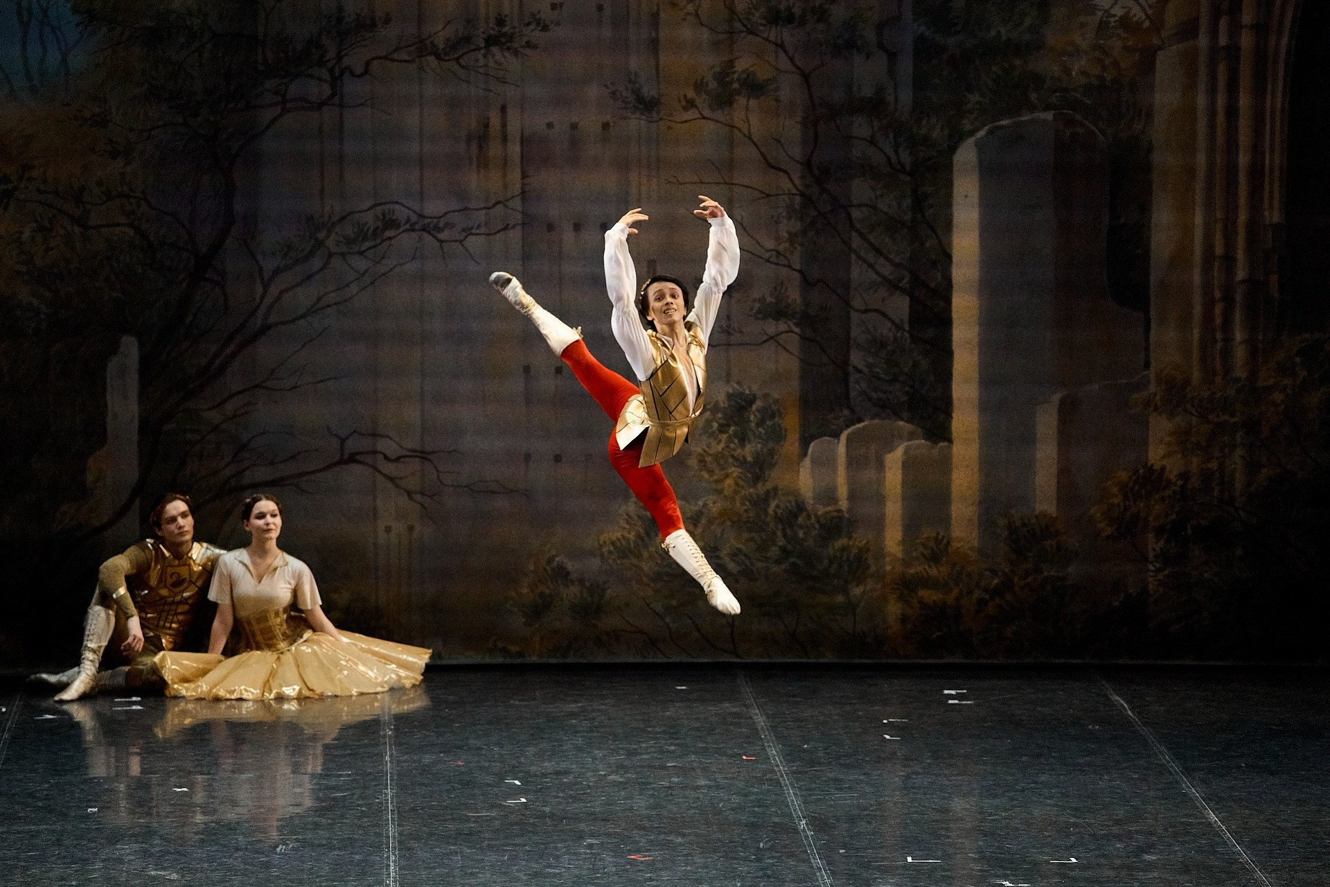 Лебединое озеро. Нижегородского театра оперы и балета им. А. С. Пушкина. История занавеса. Превращаем идею в технологию