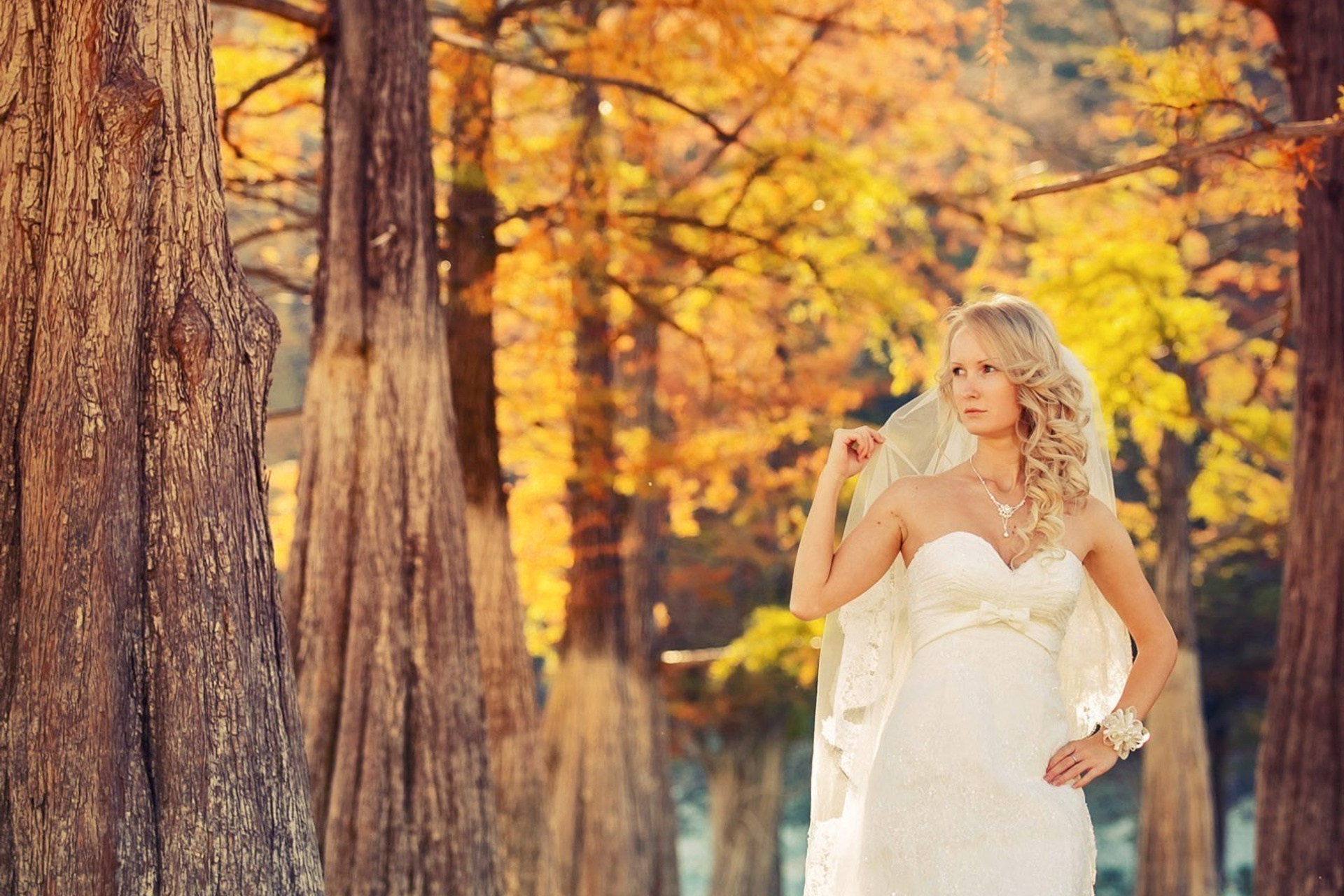 Света + Сергей