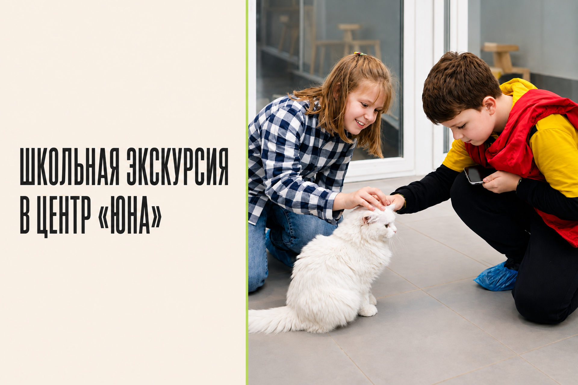Альбом учителю начальной школы | SHKOLBook