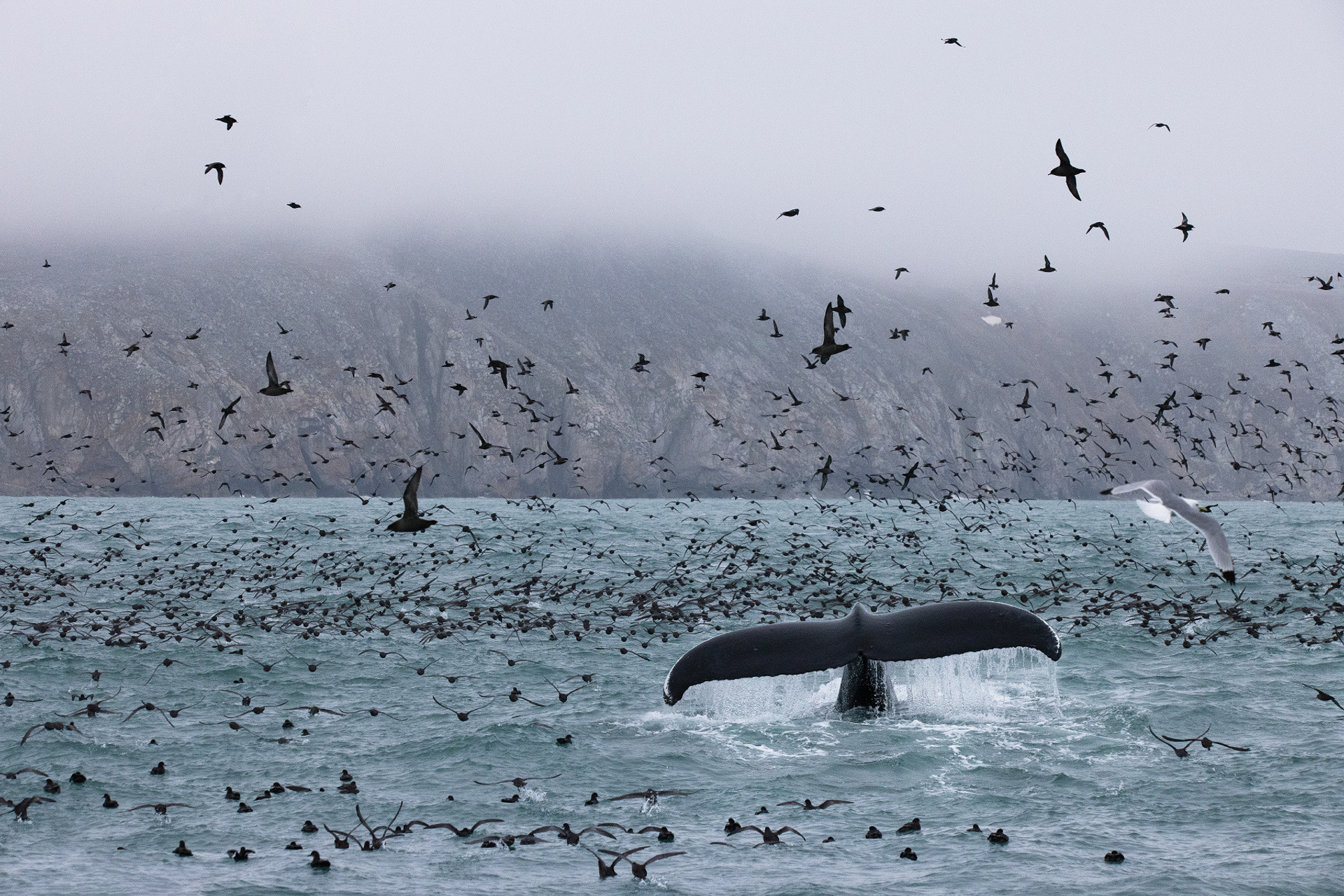 Остров Врангеля и остров Колючин