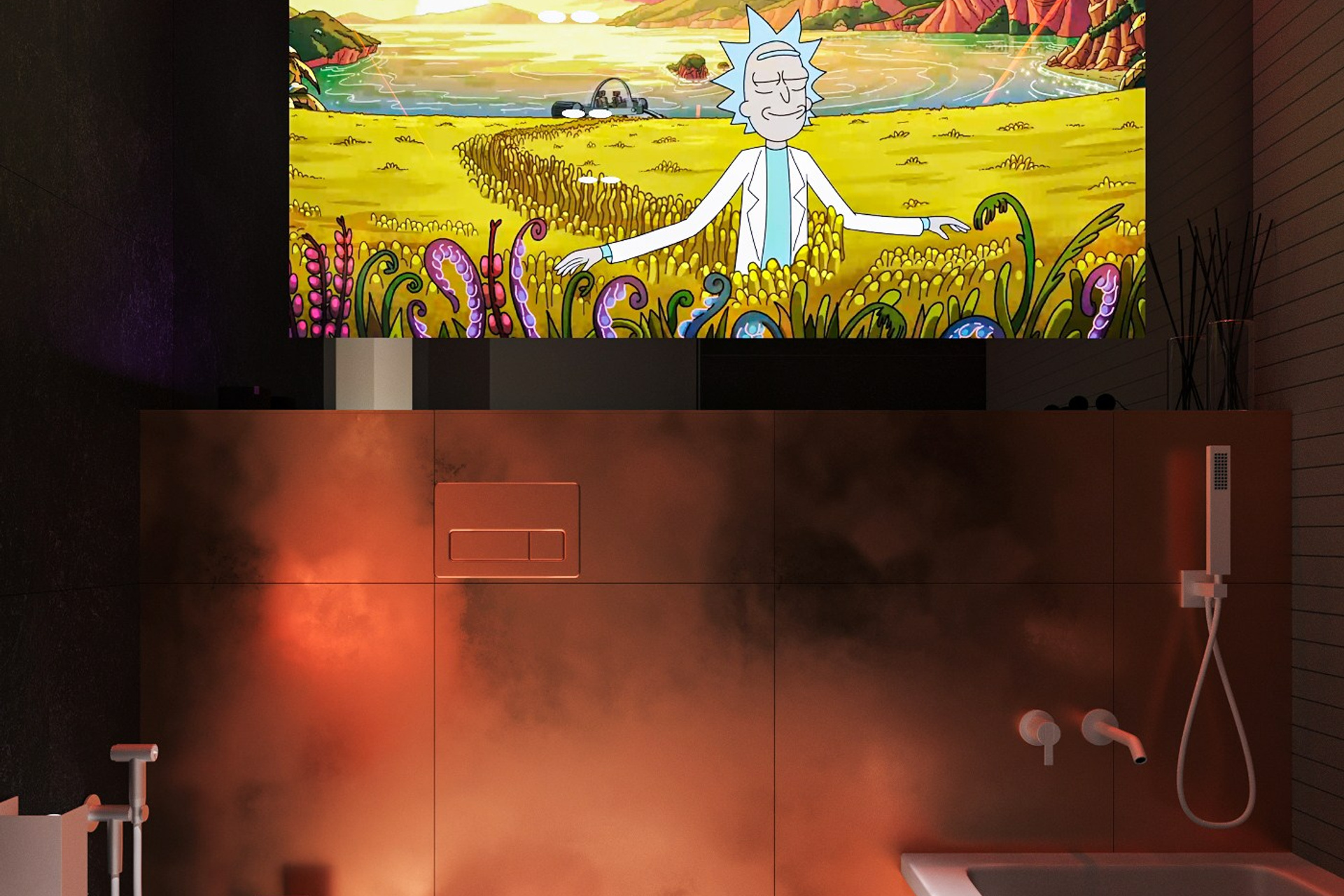 Санузел со встроенным TV экраном, Концептуальный проект