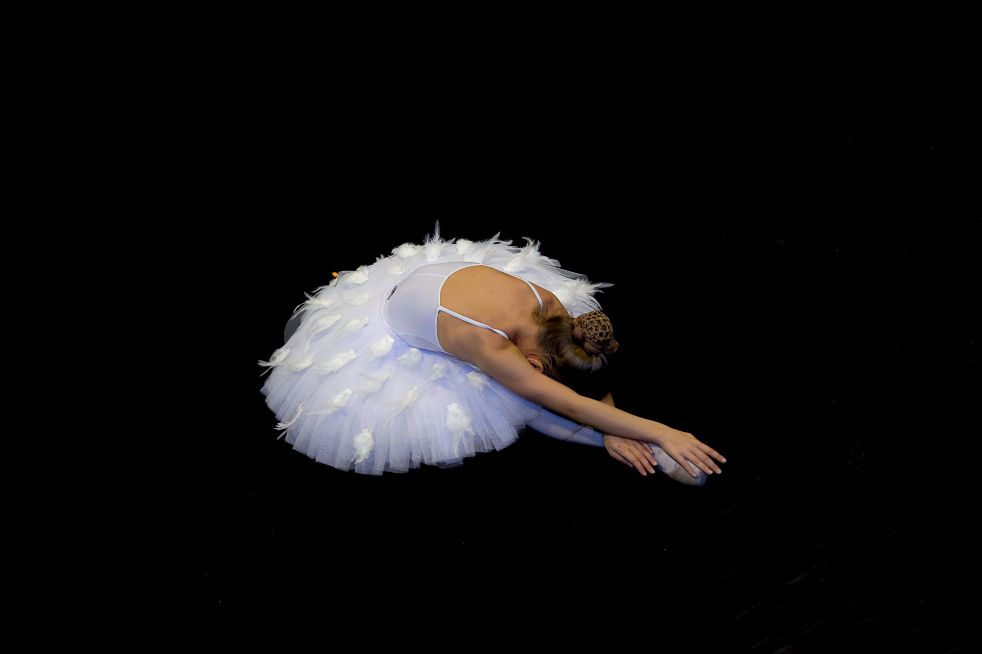 Exposición de Arte en Sochi. Arte de Shanti Alex