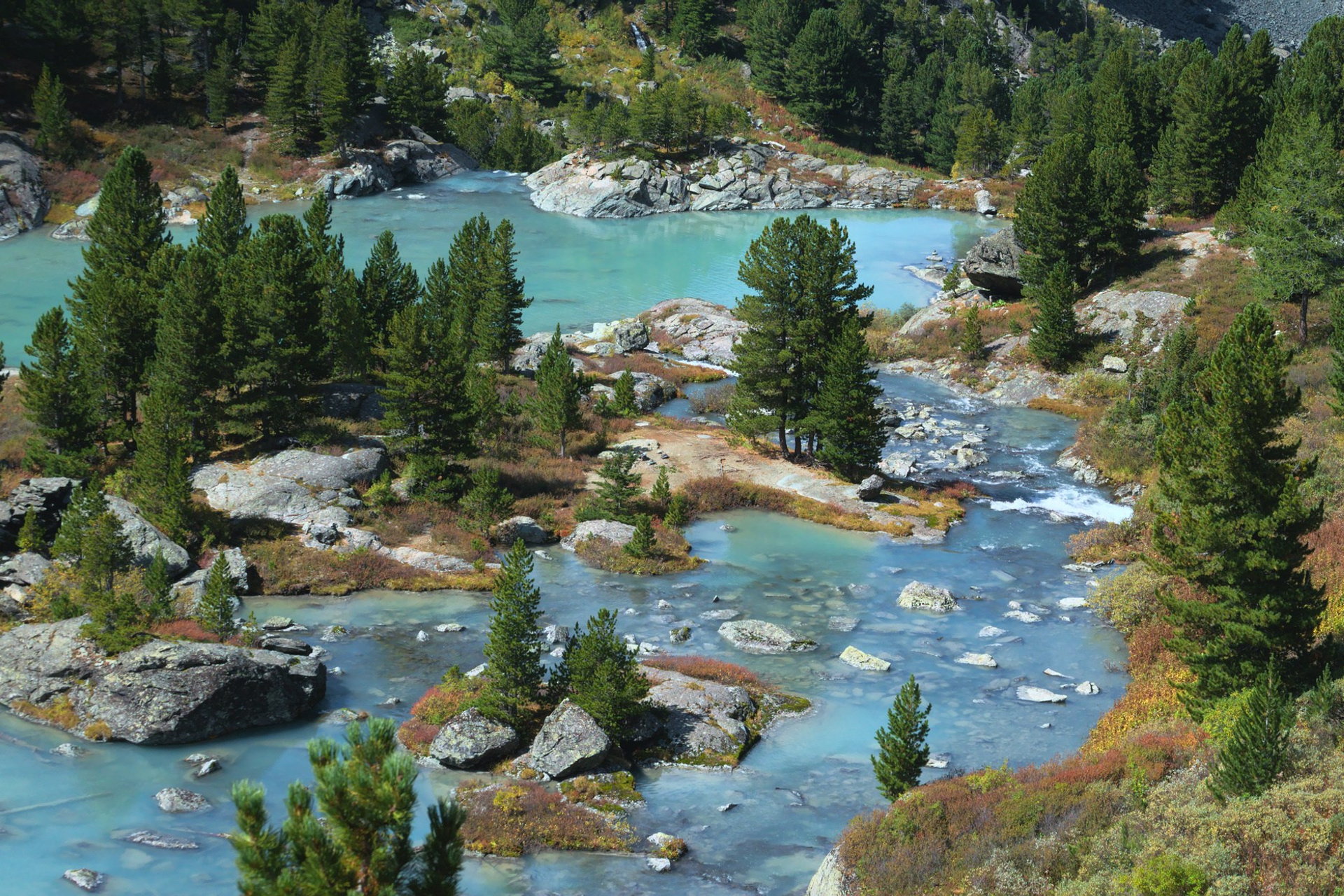 Блог. Фотограф анималист, пейзажист, спортивные мероприятия. Новосибирск