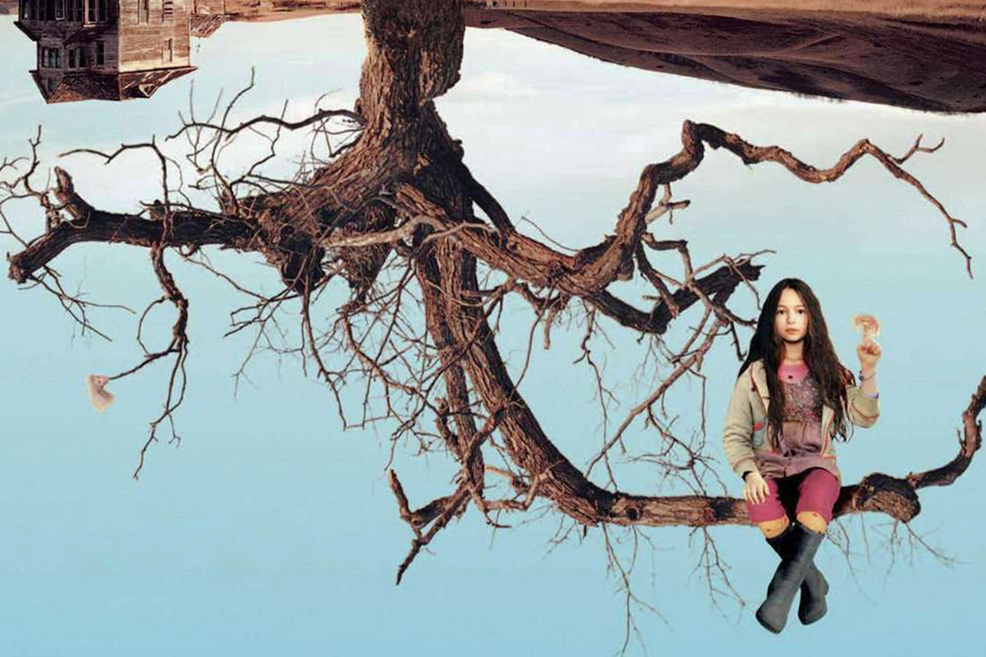 «Впусти меня. Сага» (2010)