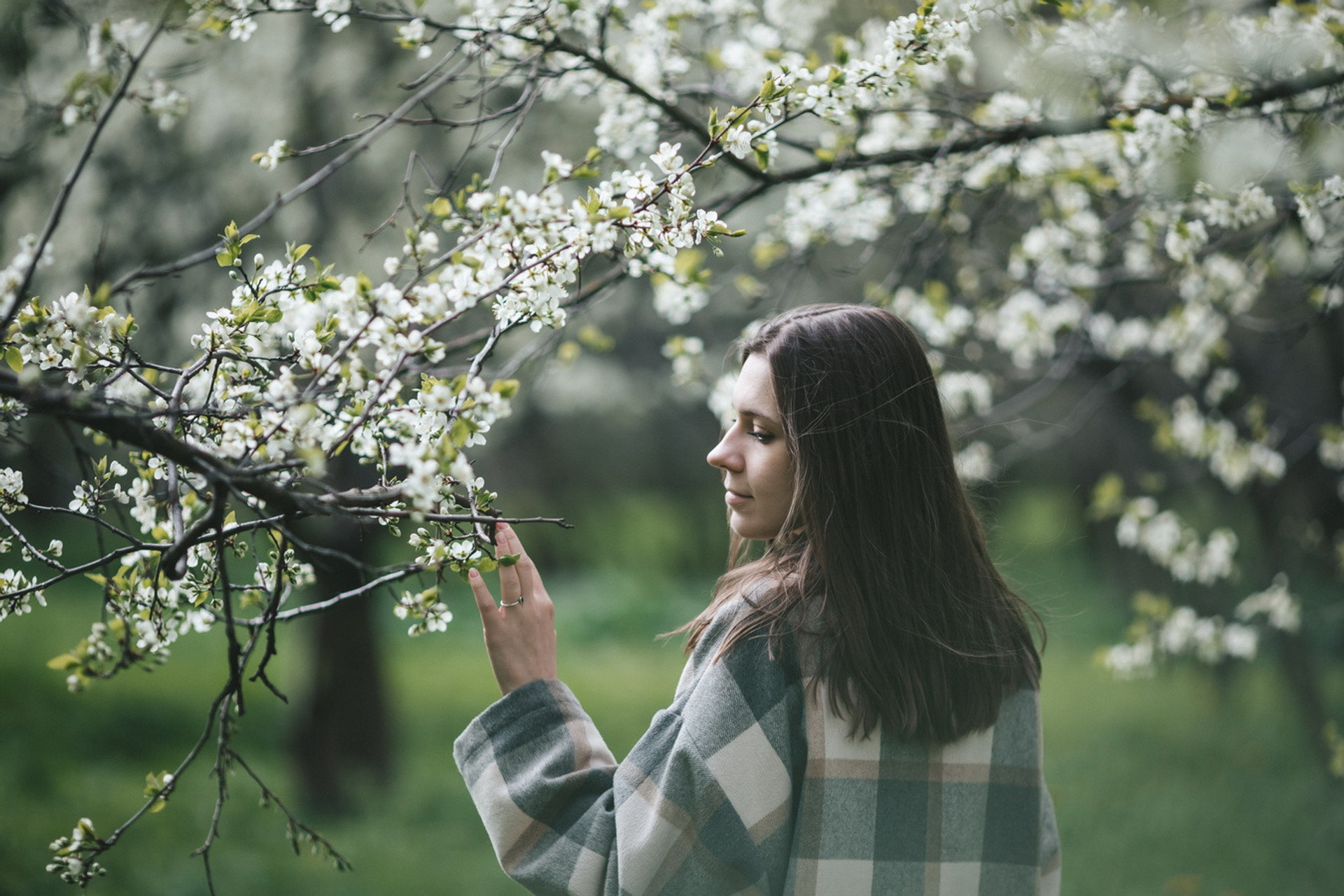 Весна в Коломенском