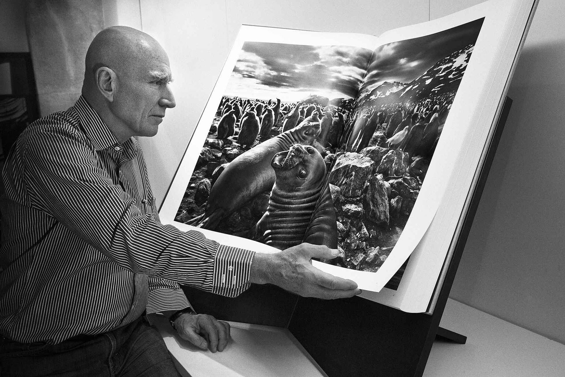 Начинающий фотограф