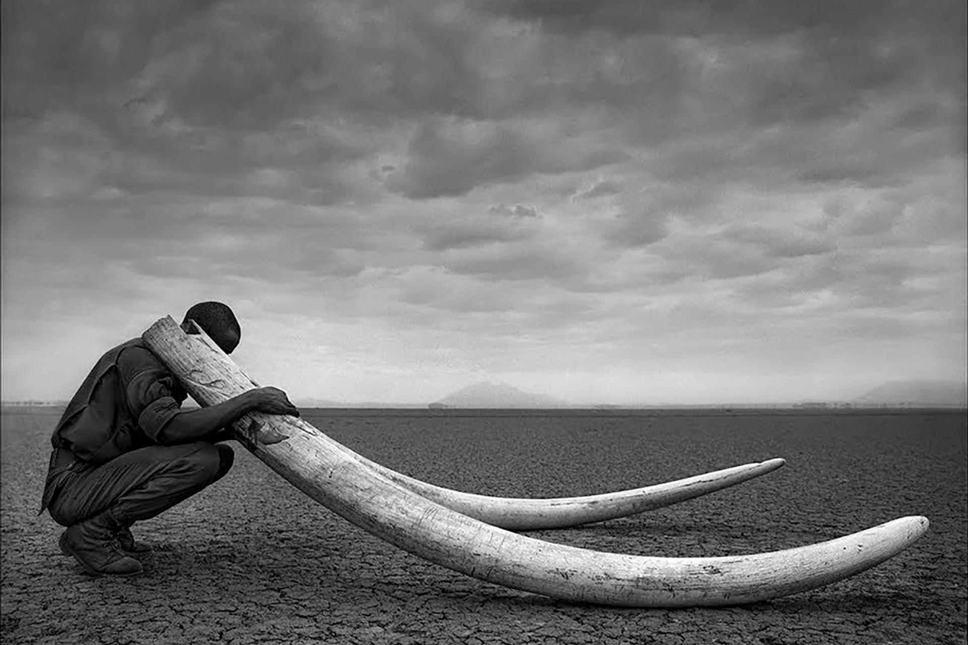 Начинающий фотограф