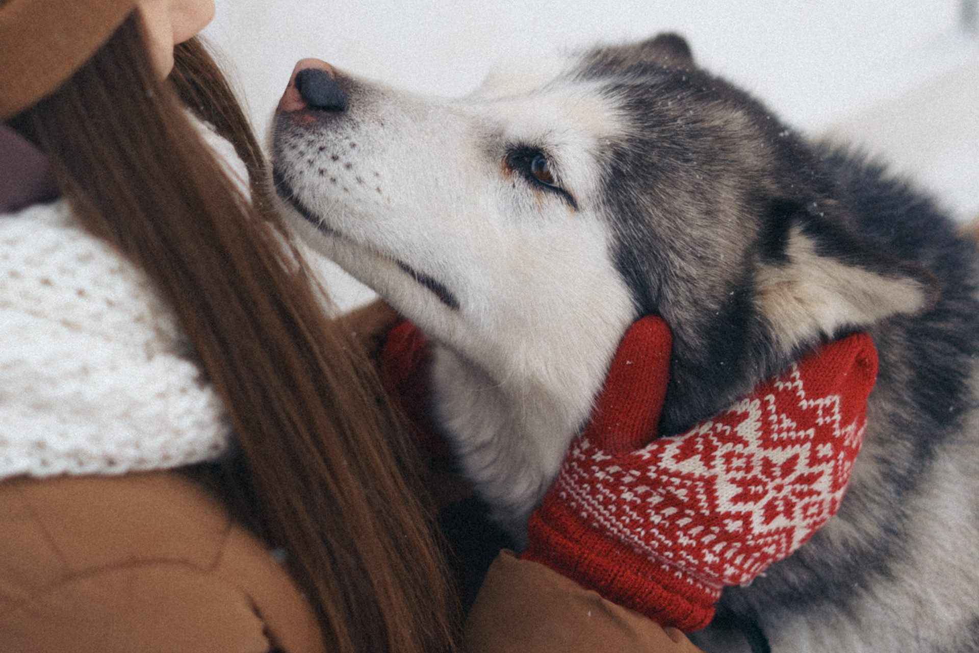 г.&nbsp;Владимир