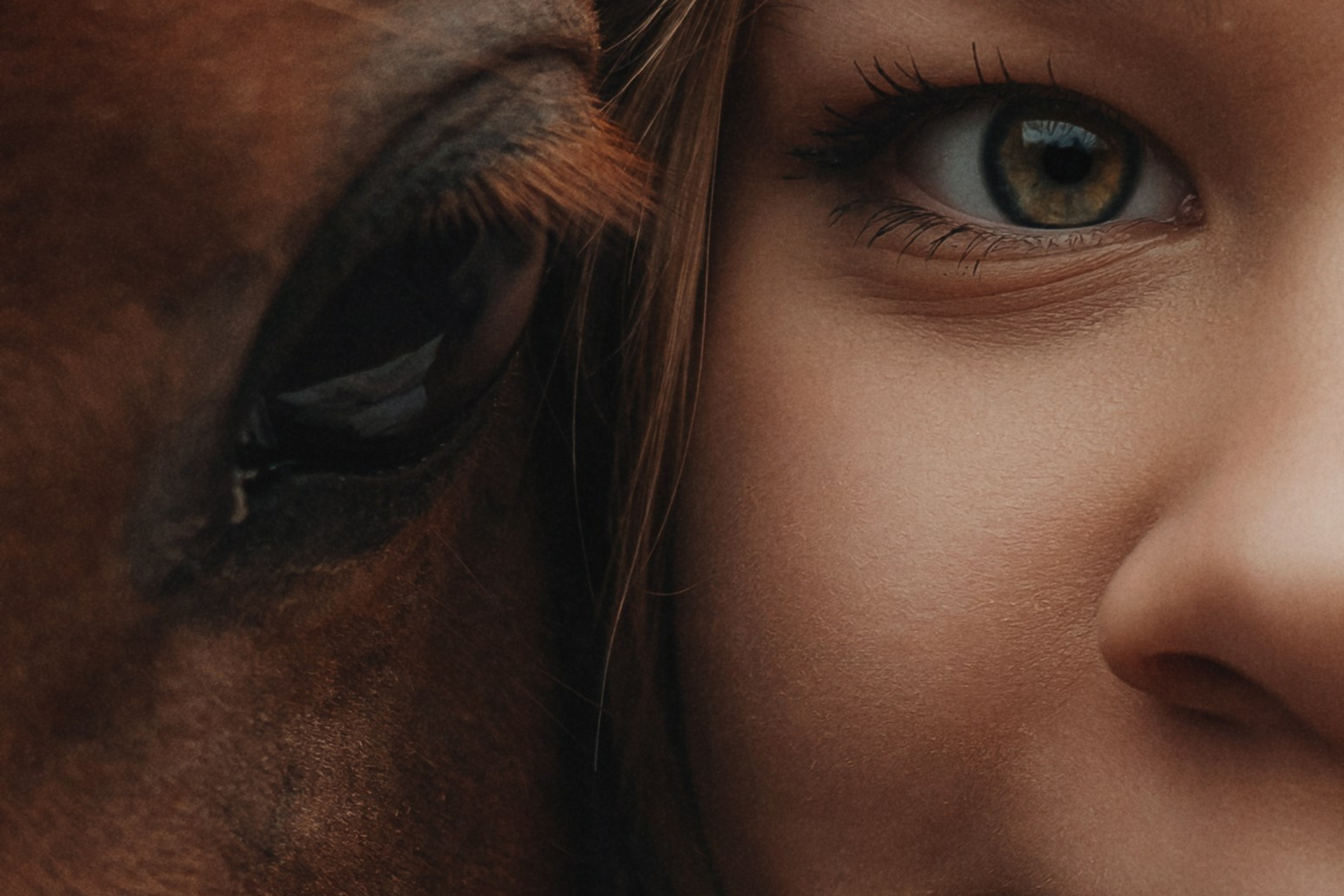 Осенняя фотосессия с лошадью