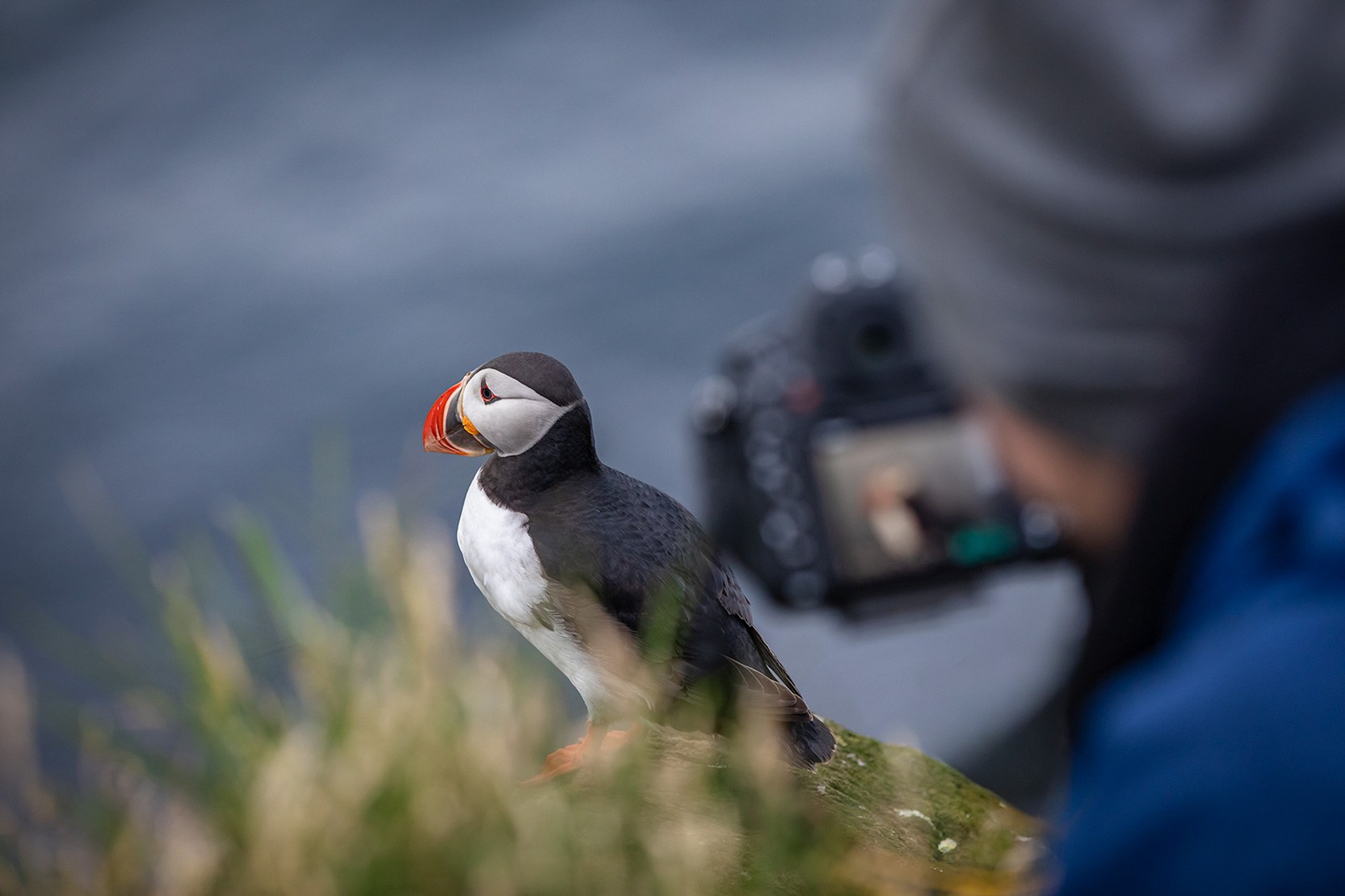 Фотограф в&nbsp;своей стихии