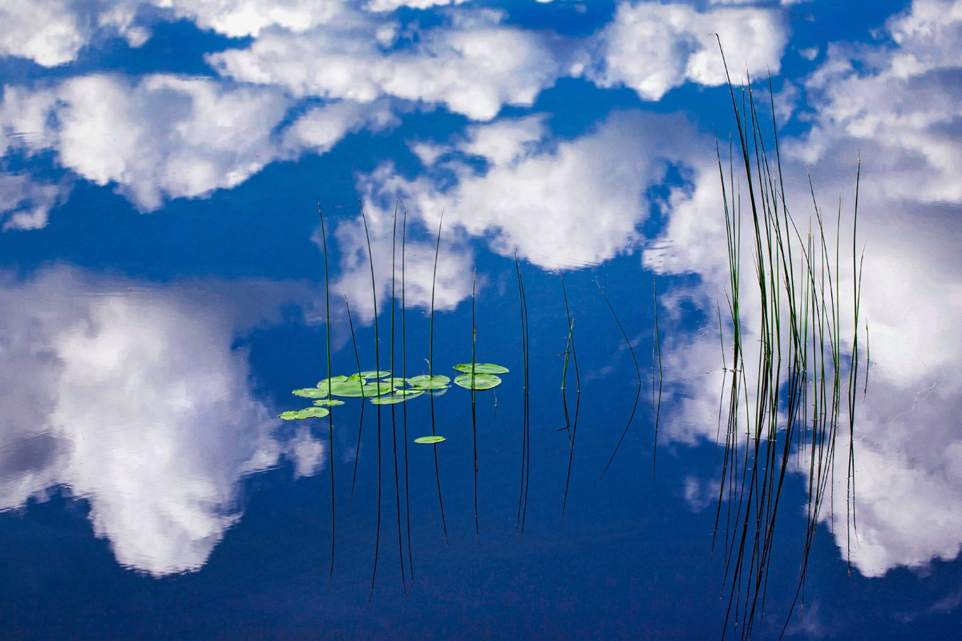 На&nbsp;озере Селигер