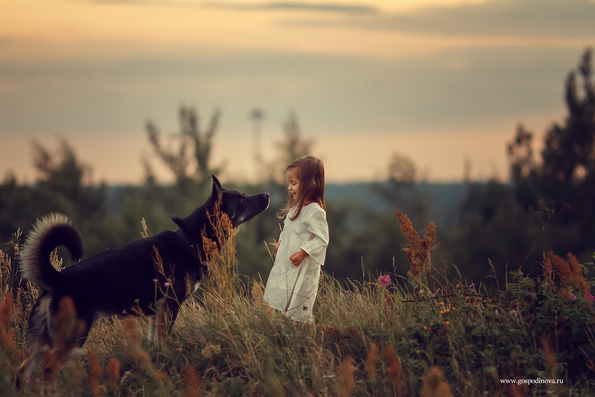 Ребята и зверята