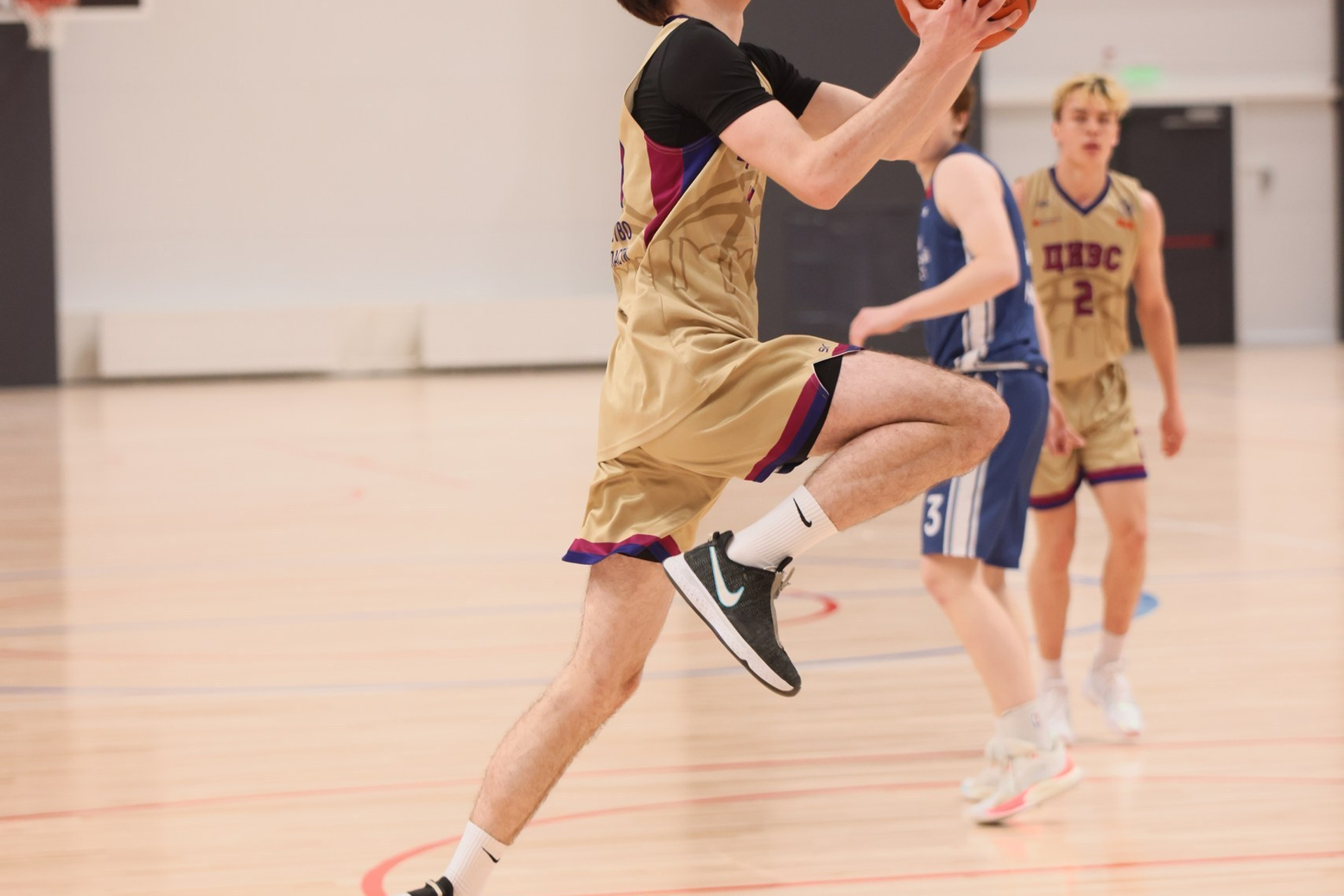 Баскетбол ТулГу VS МГУ