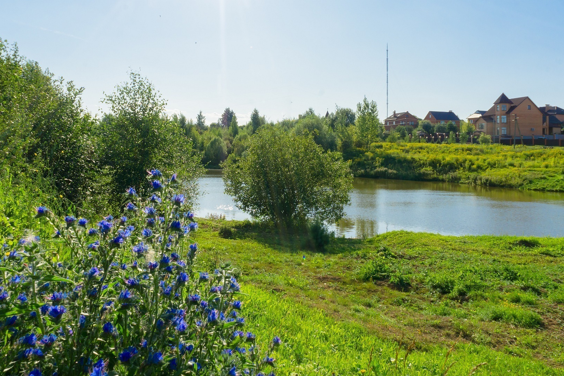 Лето в поселке Басово-Прудный и деревне Старое-Басово.