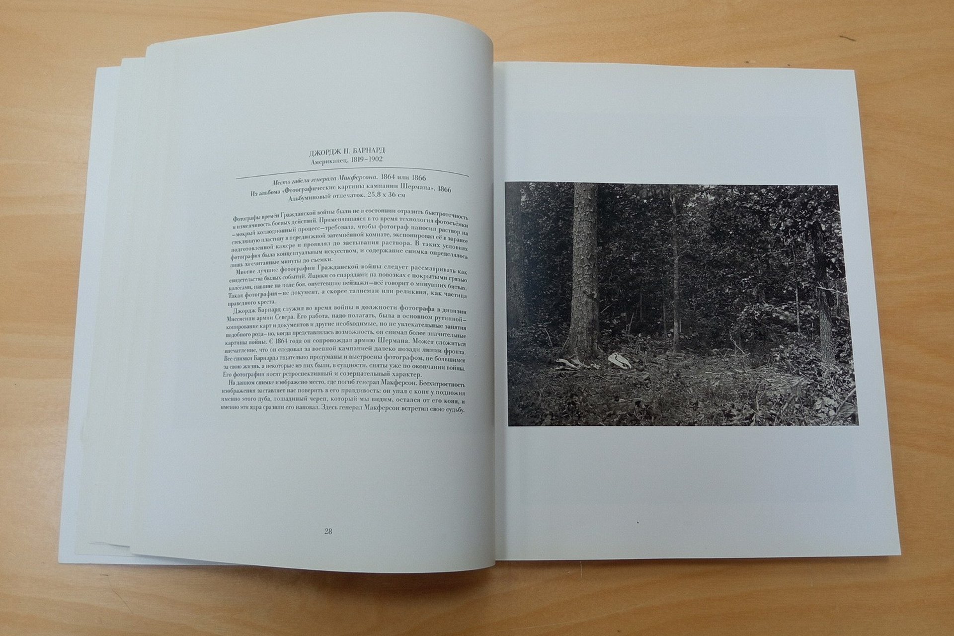 Выставка Ольги Чернышевой «Улица сна». Private image