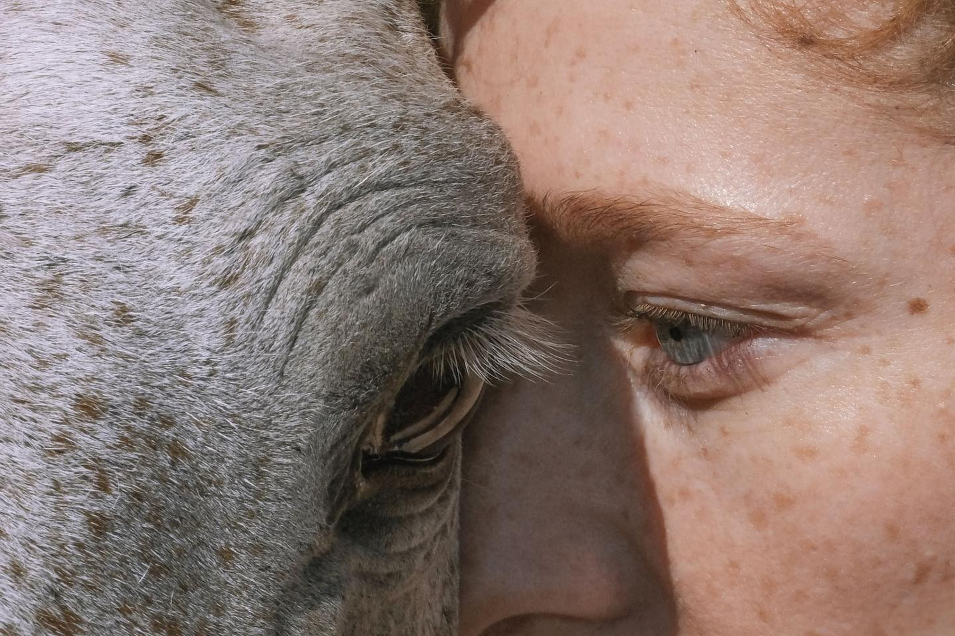 Фотограф Дэн Эстабрук (Dan Estabrook). Private image