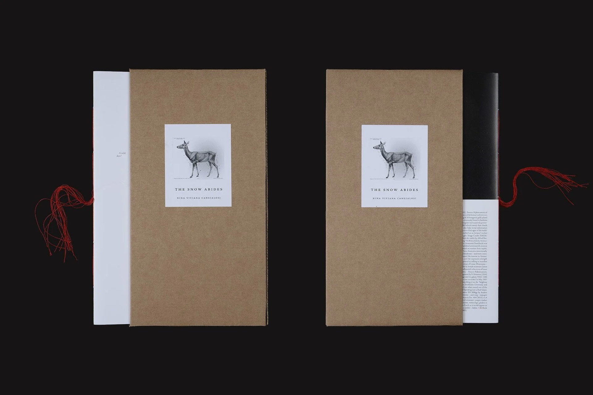 Блог. Private image