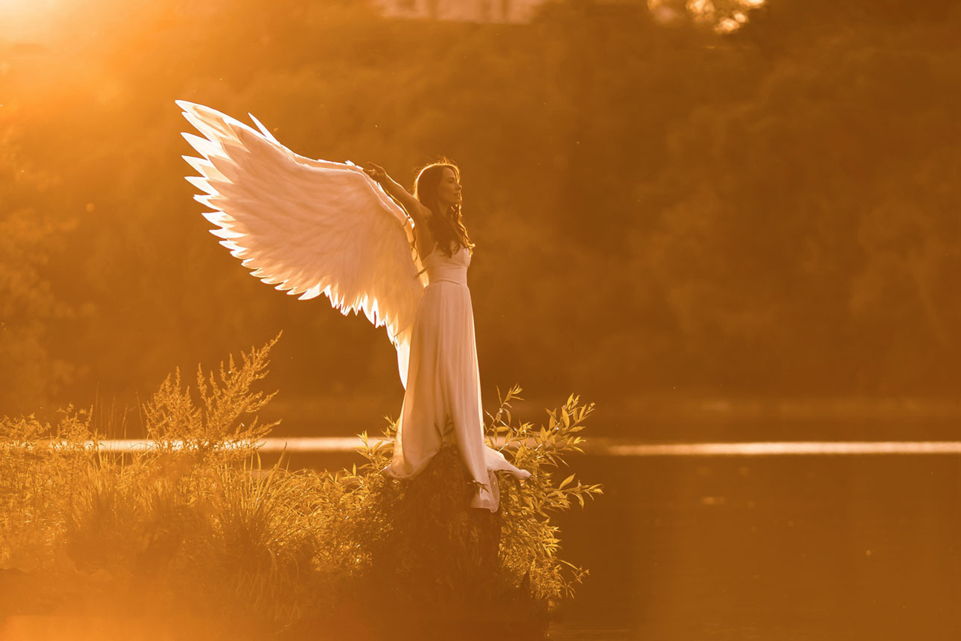 ВЗМАХ КРЫЛЬЕВ