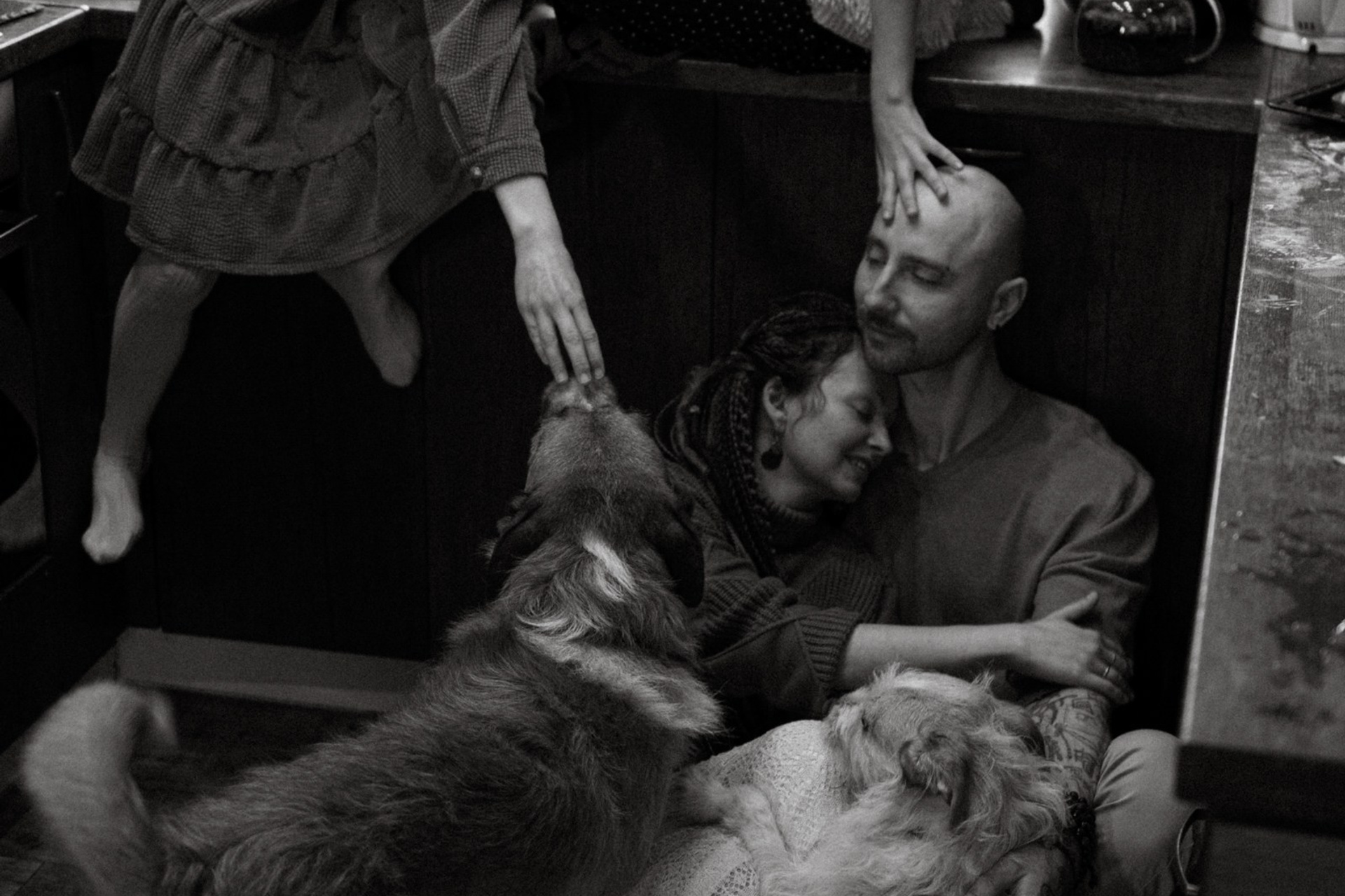 Франкенвини