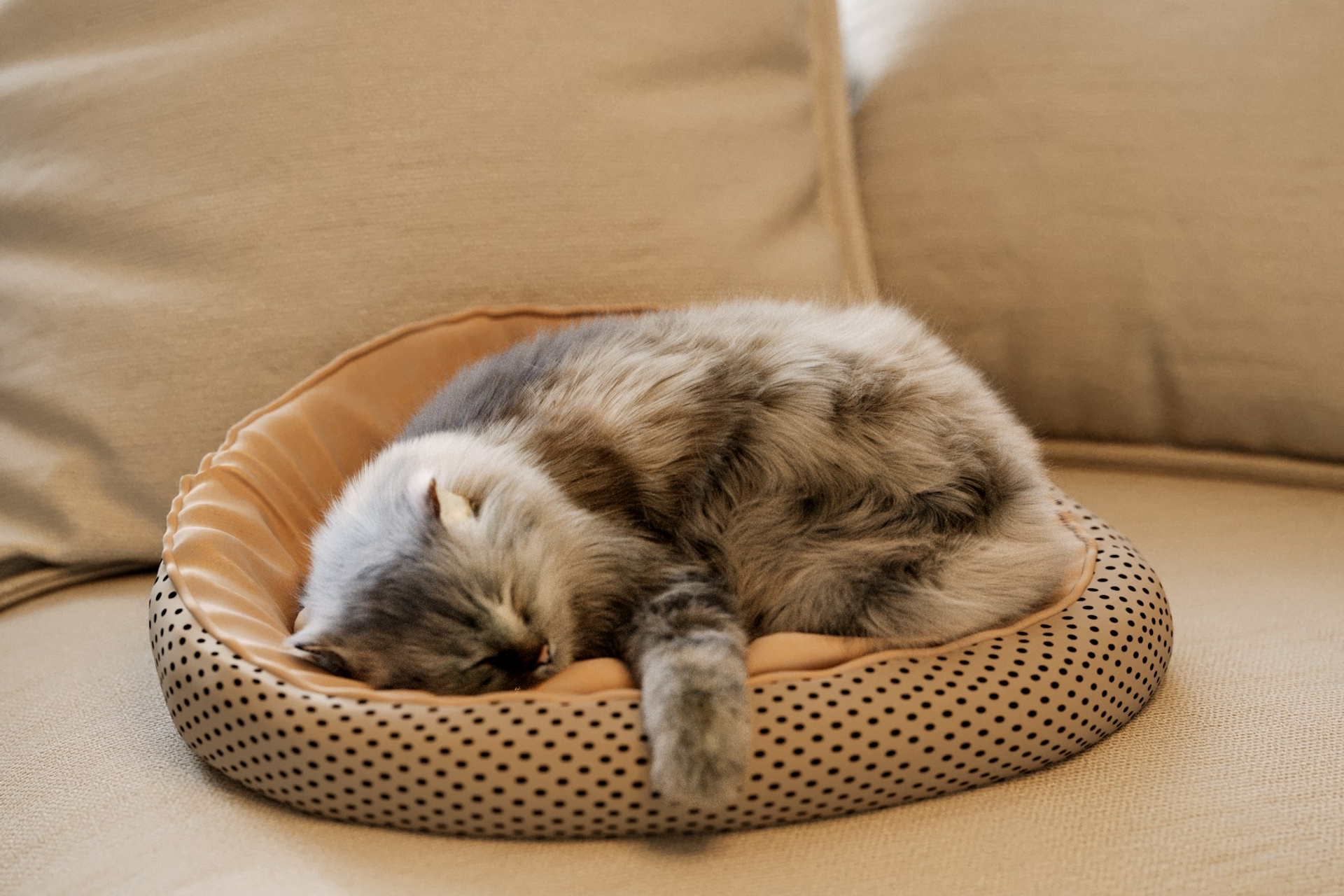 Классический интерьер ''Новый год''. ZH_VIS | 3D Визуализация интерьеров