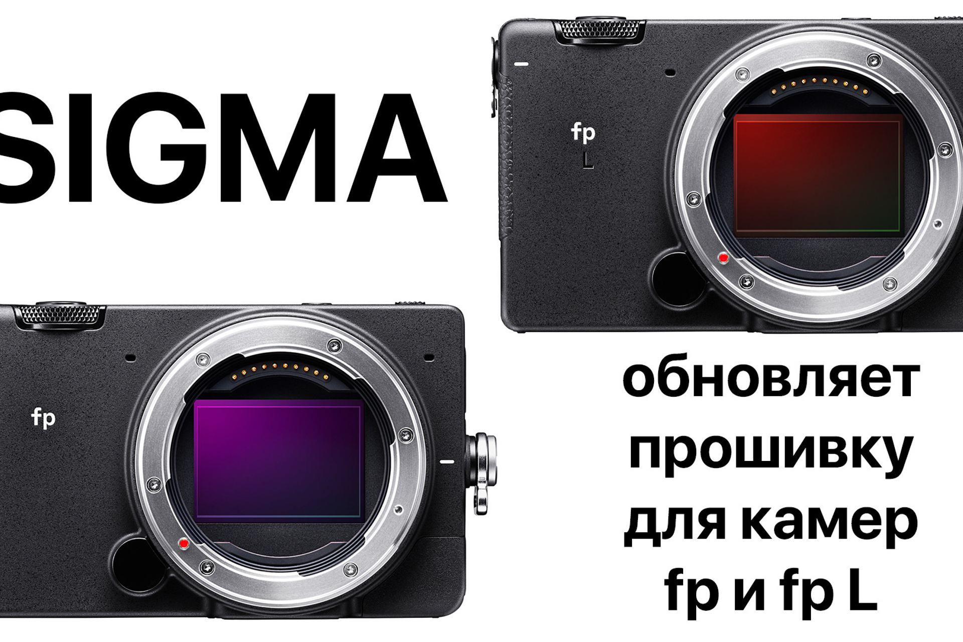 Новости. Фотограф — видеограф в Москве Дмитрий Менделеев