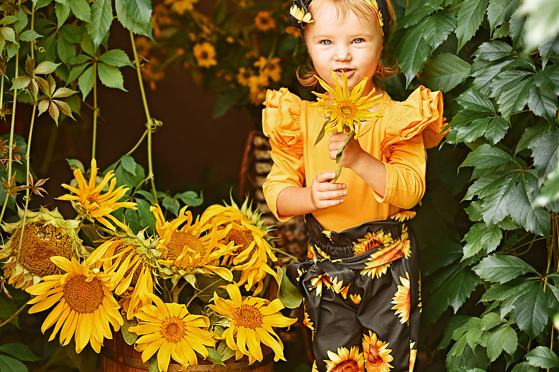 Подсолнушки