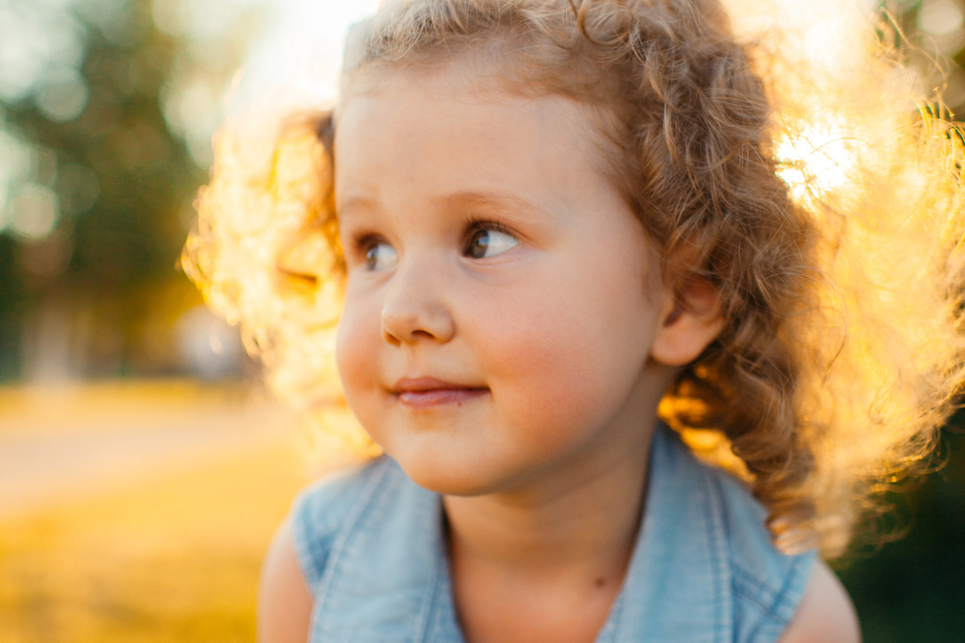 Солнечные зайчики