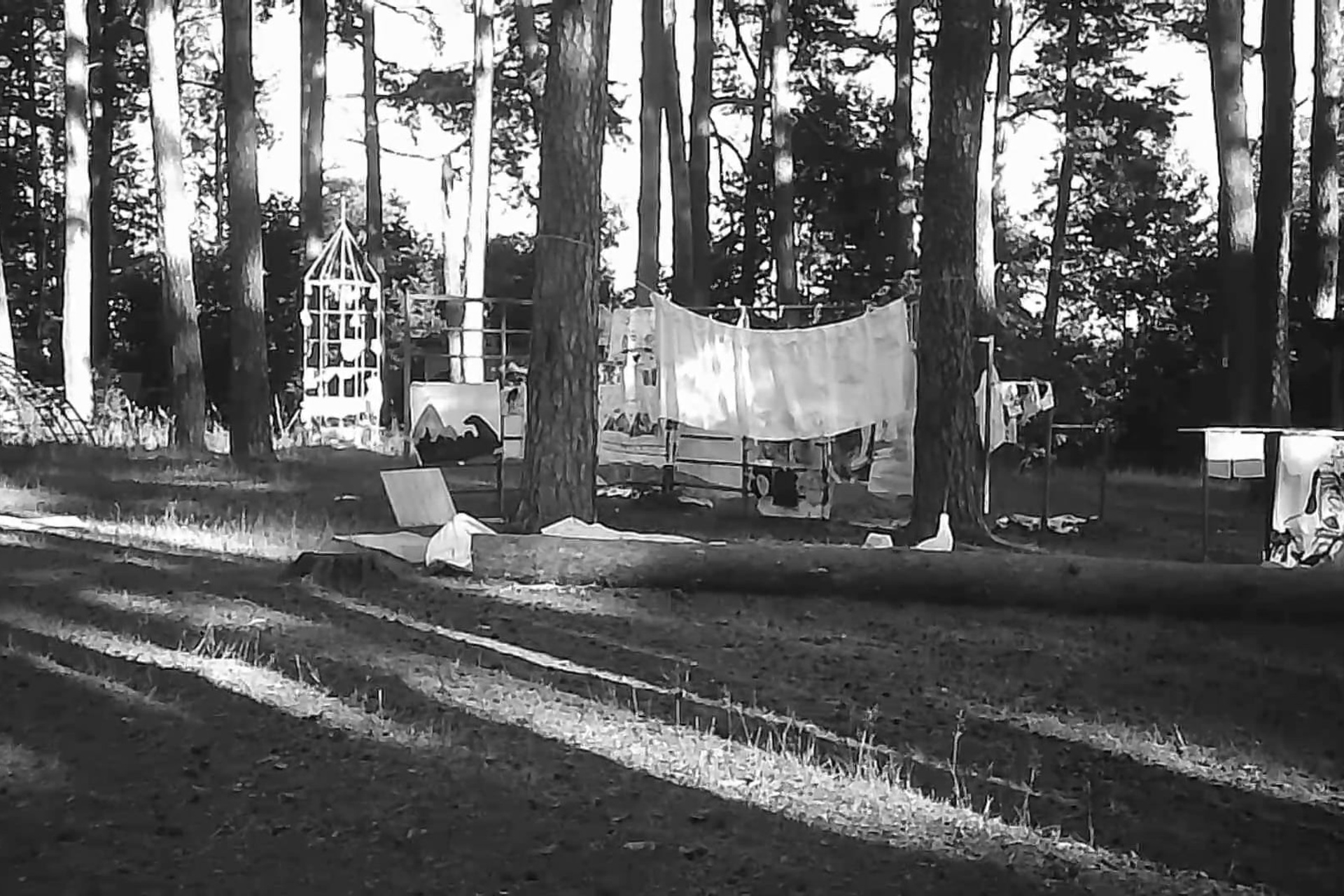 Кавардак (детская арт-резиденция). Дарья Крыл