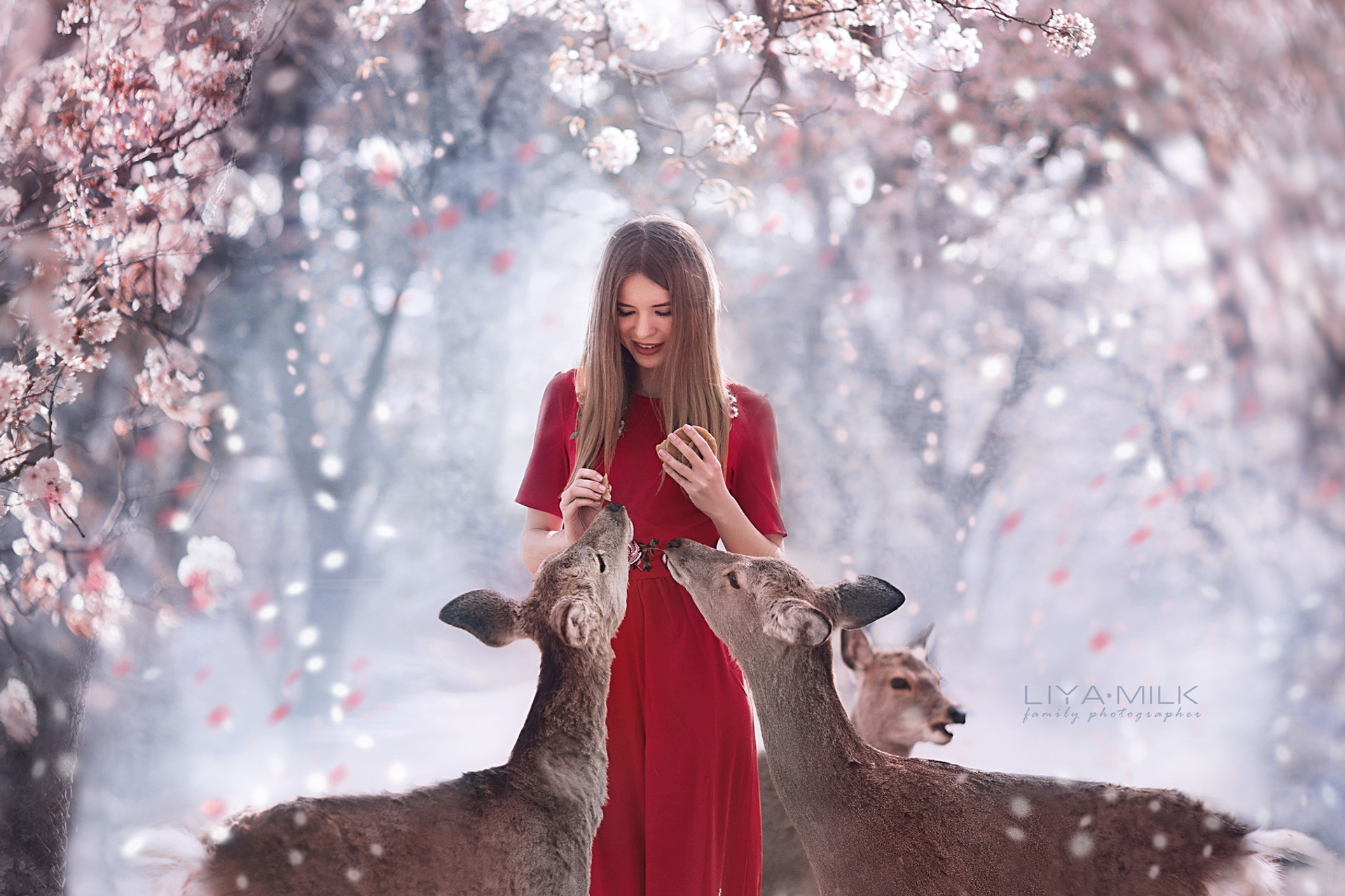 Сказочная Япония