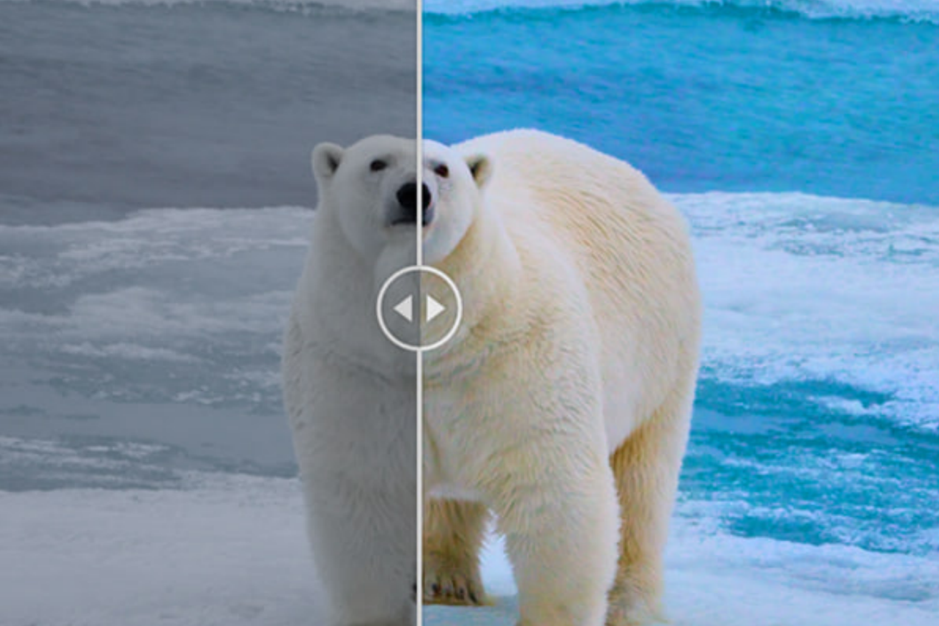 Блог Рожнова Сергея. Международная онлайн-фотошкола Сергея Рожнова