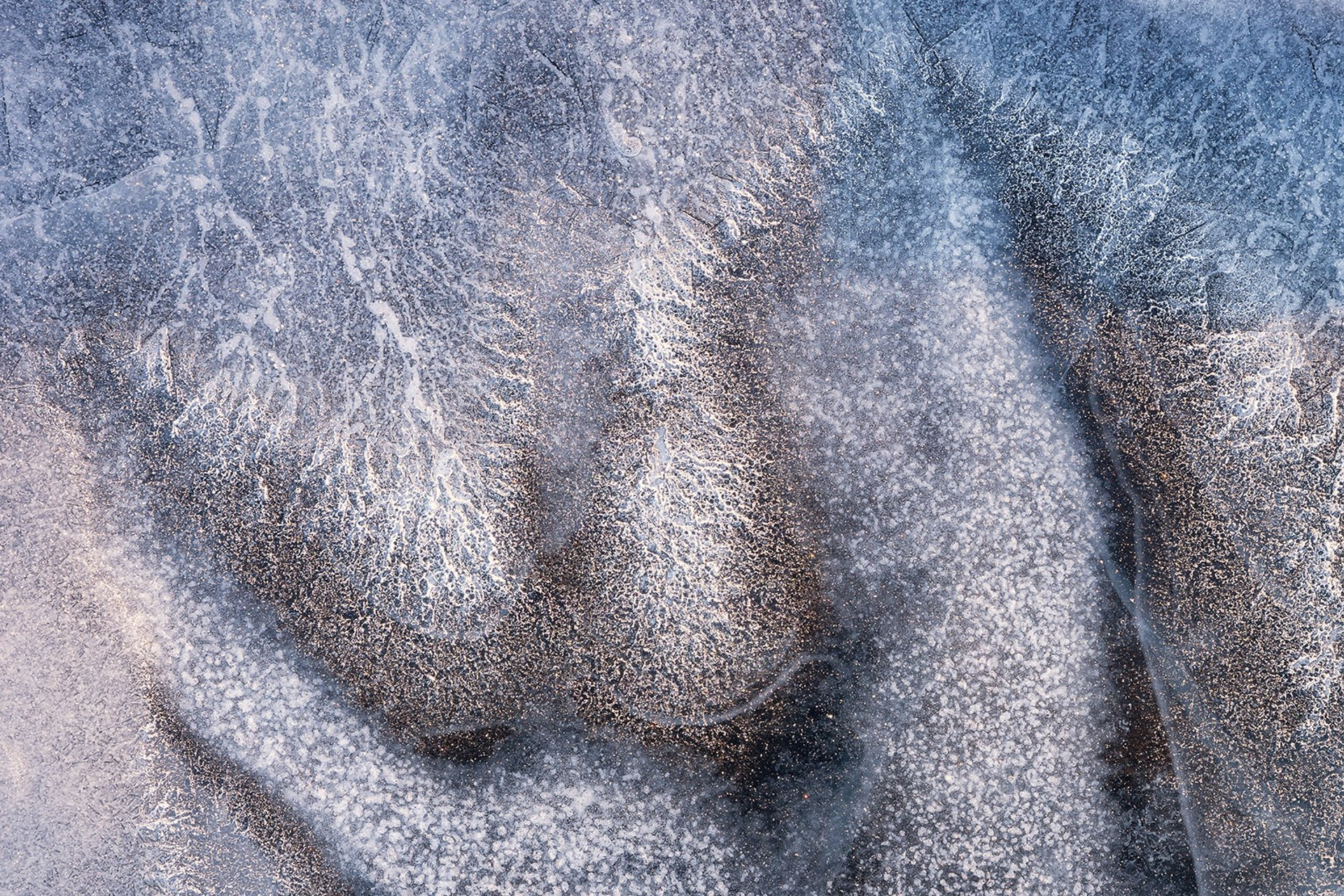 Анатомия льда