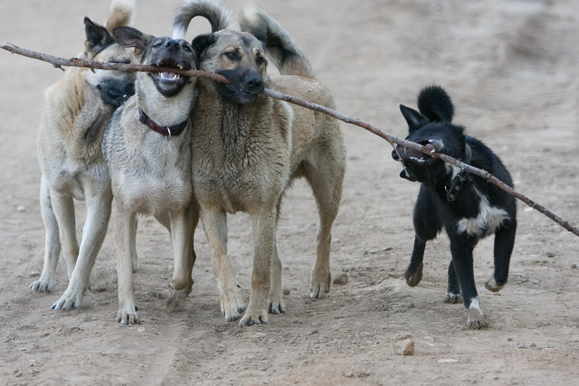 Блог. Кучеров Евгений. Фотограф