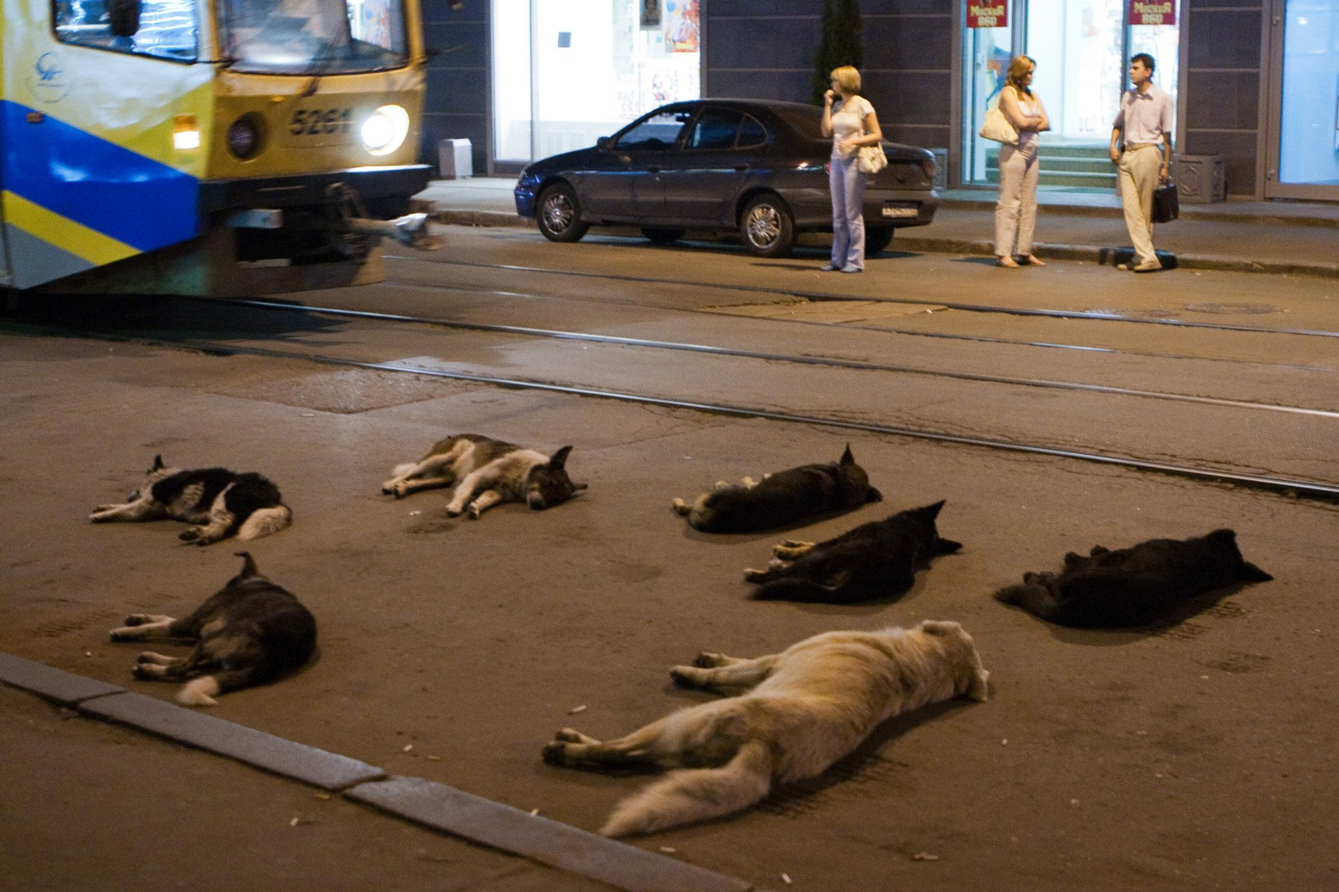 Блог. Кучеров Евгений. Фотограф