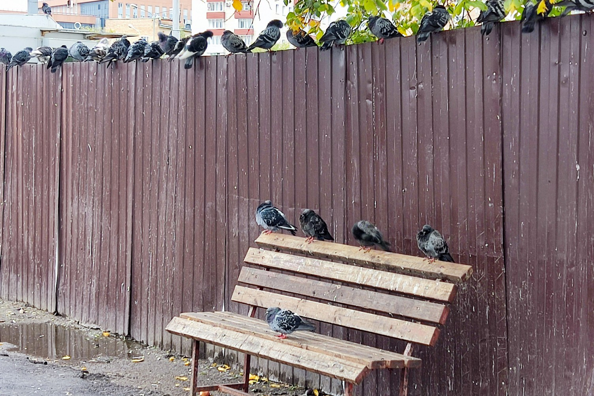 Блог. Кучеров Евгений. Фотограф